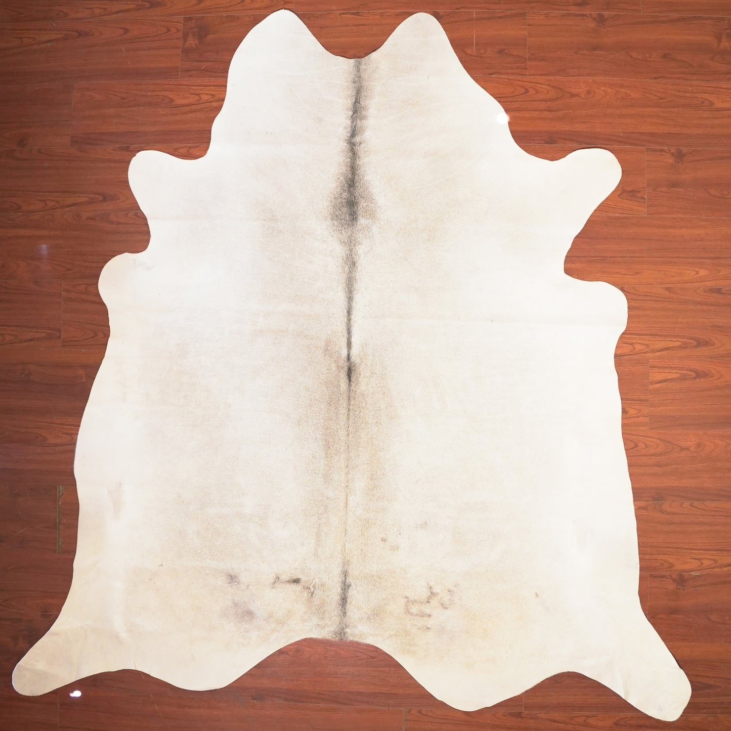 The Nguni Guy Nguni cowhide African decor Authentic cowhide Home decor Interior design Unique pattern Hand-selected Premium quality Natural beauty Exotic rug Genuine hide Statement piece Contemporary style Ethically sourced Sustainable decor Versatile accent Luxury rug Designer piece Modern aesthetic High-end craftsmanship Timeless elegance Designer home accents
