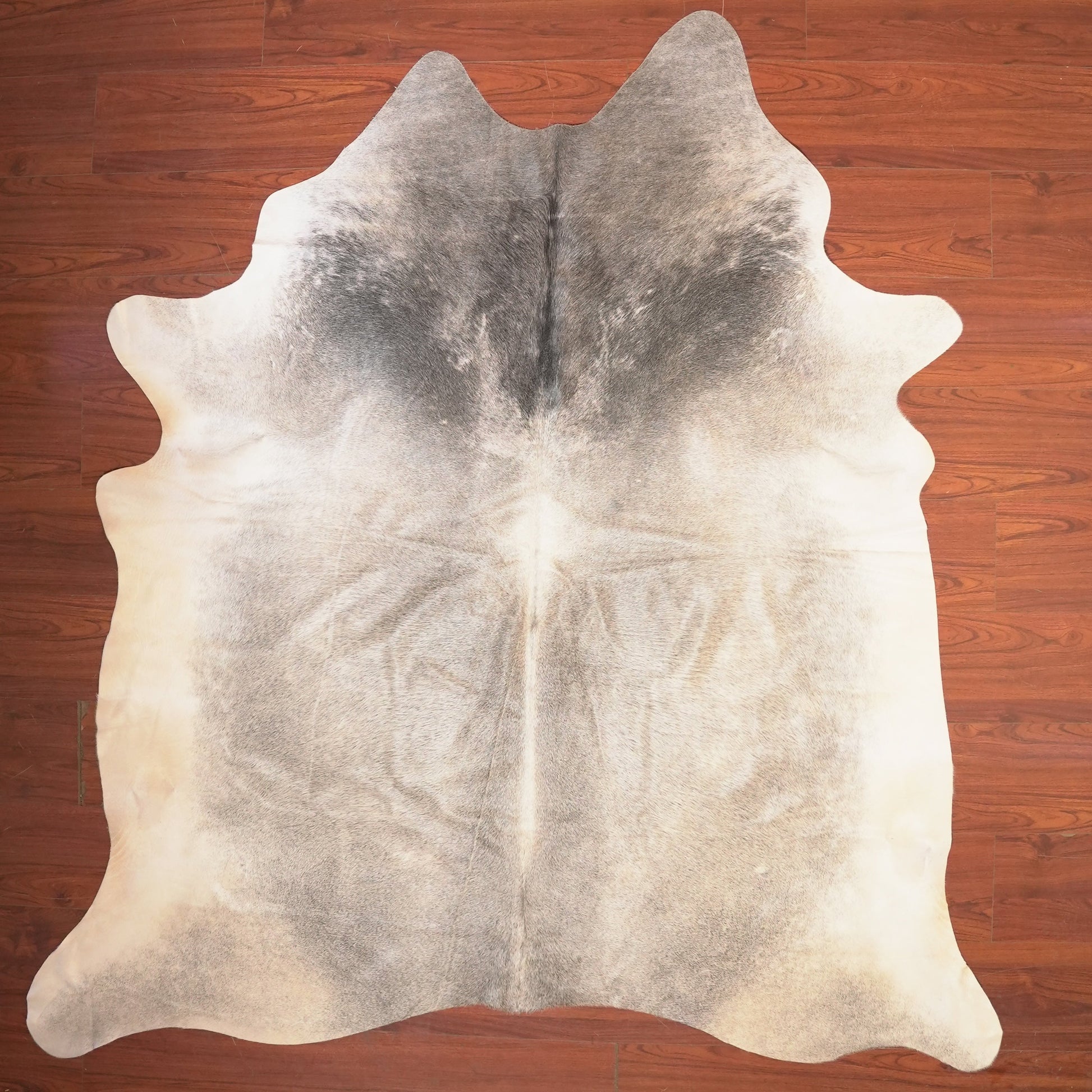 The Nguni Guy Nguni cowhide African decor Authentic cowhide Home decor Interior design Unique pattern Hand-selected Premium quality Natural beauty Exotic rug Genuine hide Statement piece Contemporary style Ethically sourced Sustainable decor Versatile accent Luxury rug Designer piece Modern aesthetic High-end craftsmanship Timeless elegance Designer home accents
