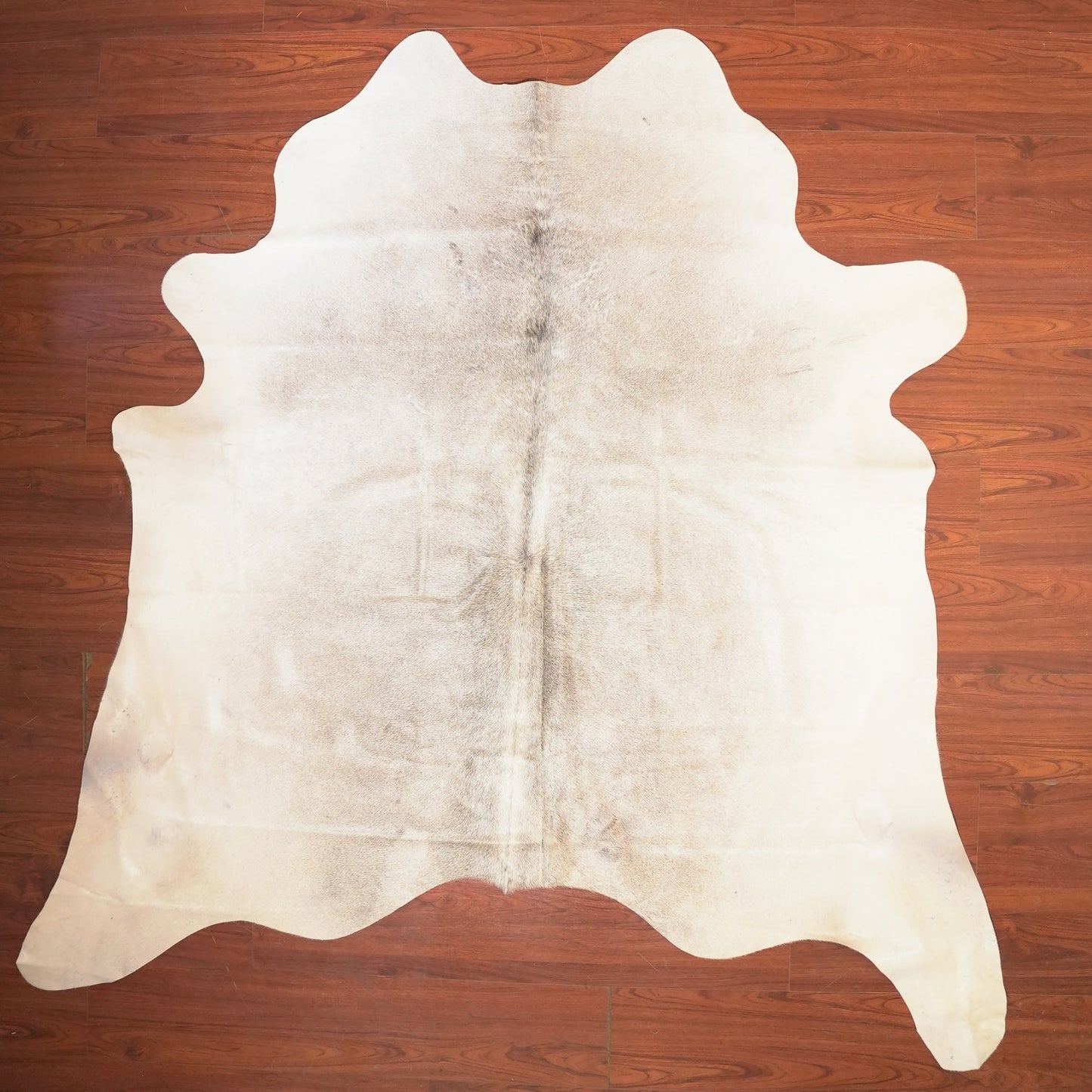The Nguni Guy Nguni cowhide African decor Authentic cowhide Home decor Interior design Unique pattern Hand-selected Premium quality Natural beauty Exotic rug Genuine hide Statement piece Contemporary style Ethically sourced Sustainable decor Versatile accent Luxury rug Designer piece Modern aesthetic High-end craftsmanship Timeless elegance Designer home accents
