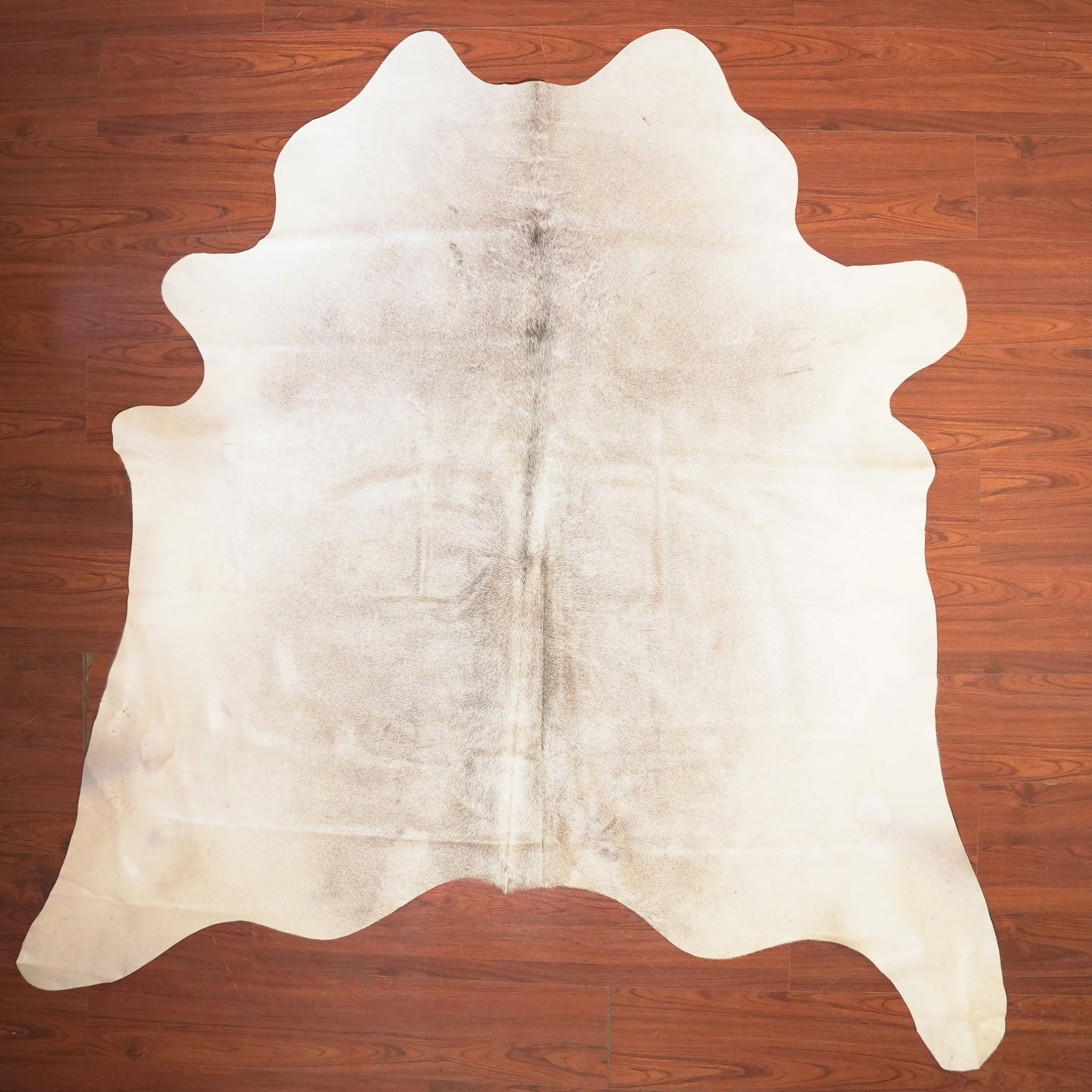 The Nguni Guy Nguni cowhide African decor Authentic cowhide Home decor Interior design Unique pattern Hand-selected Premium quality Natural beauty Exotic rug Genuine hide Statement piece Contemporary style Ethically sourced Sustainable decor Versatile accent Luxury rug Designer piece Modern aesthetic High-end craftsmanship Timeless elegance Designer home accents
