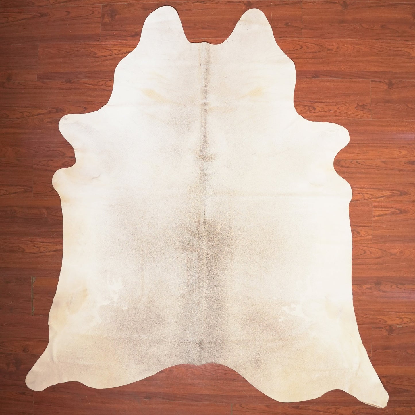 The Nguni Guy Nguni cowhide African decor Authentic cowhide Home decor Interior design Unique pattern Hand-selected Premium quality Natural beauty Exotic rug Genuine hide Statement piece Contemporary style Ethically sourced Sustainable decor Versatile accent Luxury rug Designer piece Modern aesthetic High-end craftsmanship Timeless elegance Designer home accents
