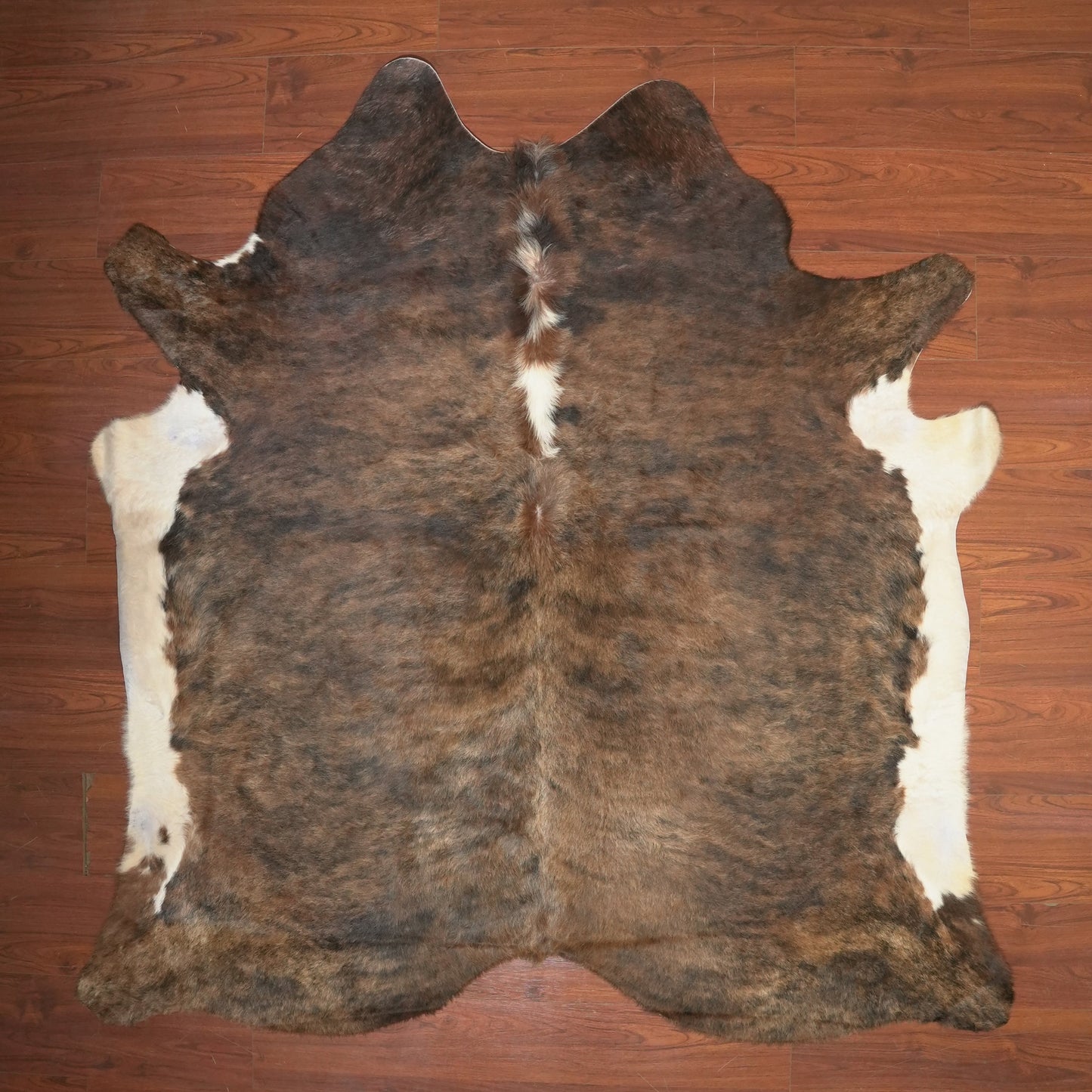 The Nguni Guy Nguni cowhide African decor Authentic cowhide Home decor Interior design Unique pattern Hand-selected Premium quality Natural beauty Exotic rug Genuine hide Statement piece Contemporary style Ethically sourced Sustainable decor Versatile accent Luxury rug Designer piece Modern aesthetic High-end craftsmanship Timeless elegance Designer home accents
