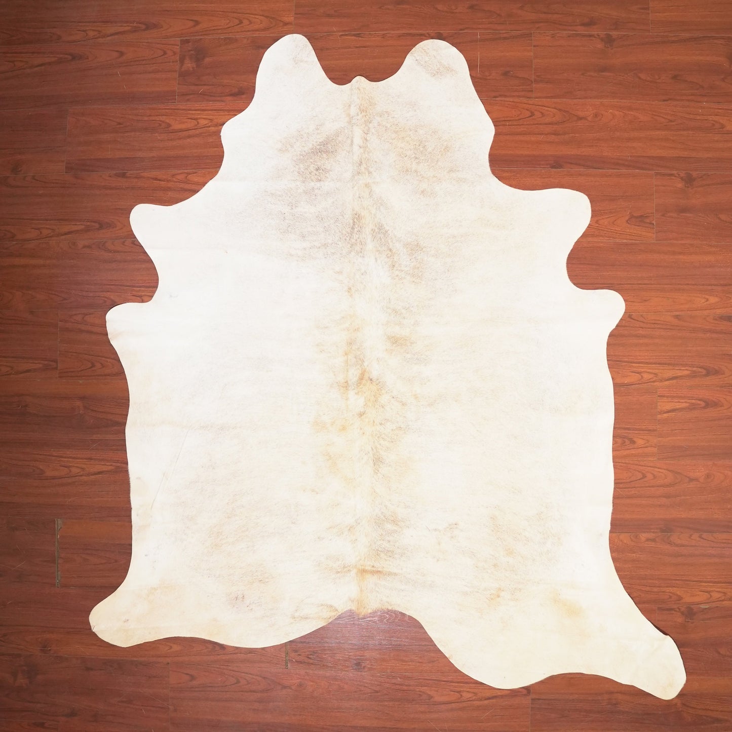 The Nguni Guy Nguni cowhide African decor Authentic cowhide Home decor Interior design Unique pattern Hand-selected Premium quality Natural beauty Exotic rug Genuine hide Statement piece Contemporary style Ethically sourced Sustainable decor Versatile accent Luxury rug Designer piece Modern aesthetic High-end craftsmanship Timeless elegance Designer home accents
