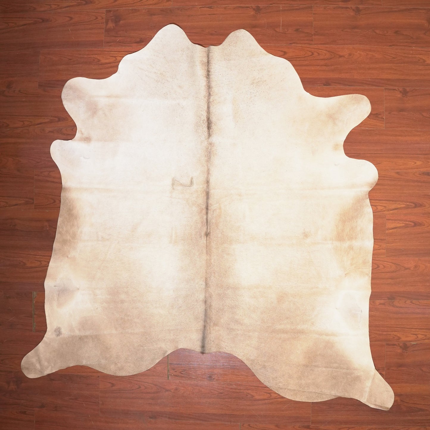 The Nguni Guy Nguni cowhide African decor Authentic cowhide Home decor Interior design Unique pattern Hand-selected Premium quality Natural beauty Exotic rug Genuine hide Statement piece Contemporary style Ethically sourced Sustainable decor Versatile accent Luxury rug Designer piece Modern aesthetic High-end craftsmanship Timeless elegance Designer home accents
