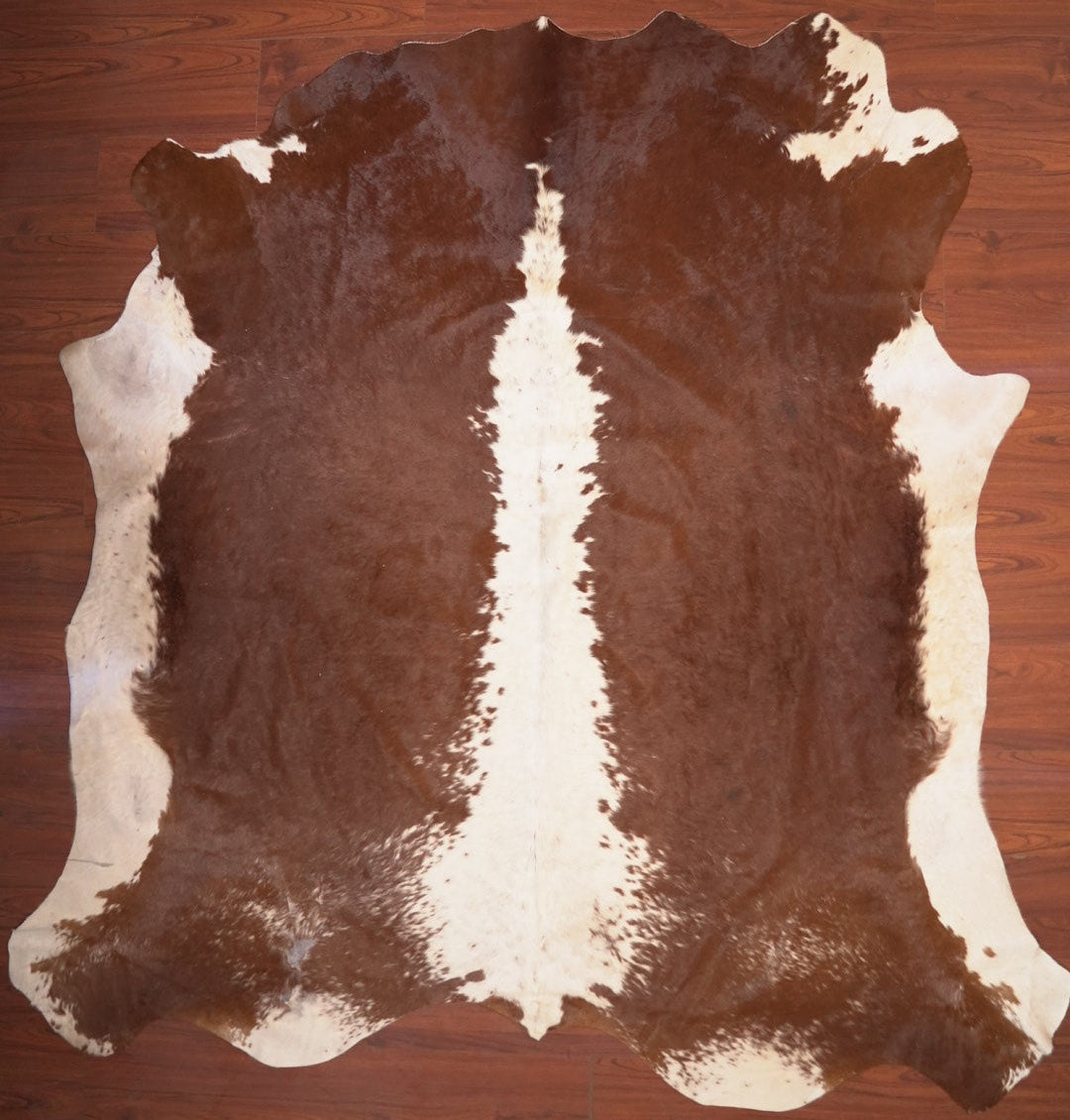 The Nguni Guy Nguni cowhide African decor Authentic cowhide Home decor Interior design Unique pattern Hand-selected Premium quality Natural beauty Exotic rug Genuine hide Statement piece Contemporary style Ethically sourced Sustainable decor Versatile accent Luxury rug Designer piece Modern aesthetic High-end craftsmanship Timeless elegance Designer home accents
