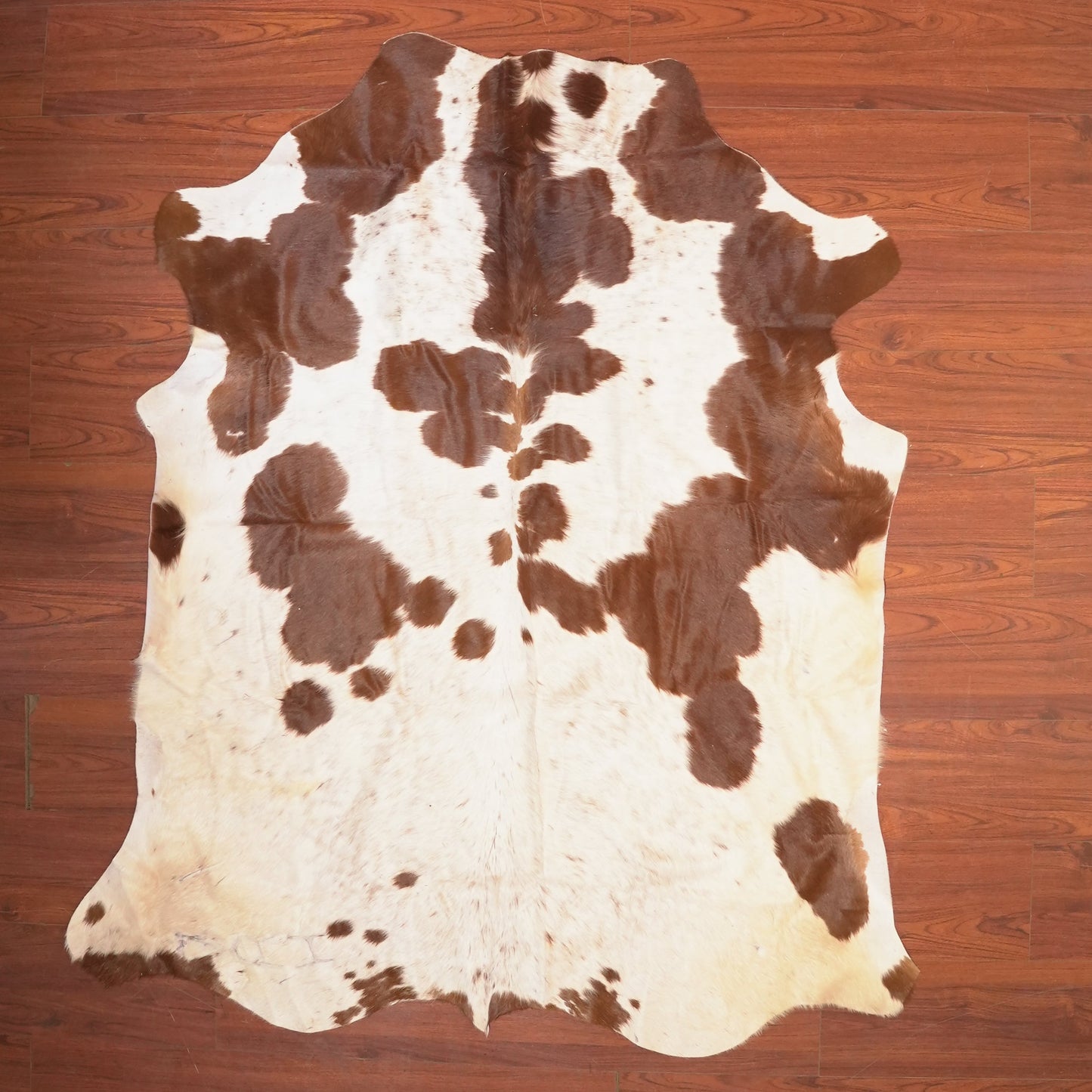 The Nguni Guy Nguni cowhide African decor Authentic cowhide Home decor Interior design Unique pattern Hand-selected Premium quality Natural beauty Exotic rug Genuine hide Statement piece Contemporary style Ethically sourced Sustainable decor Versatile accent Luxury rug Designer piece Modern aesthetic High-end craftsmanship Timeless elegance Designer home accents
