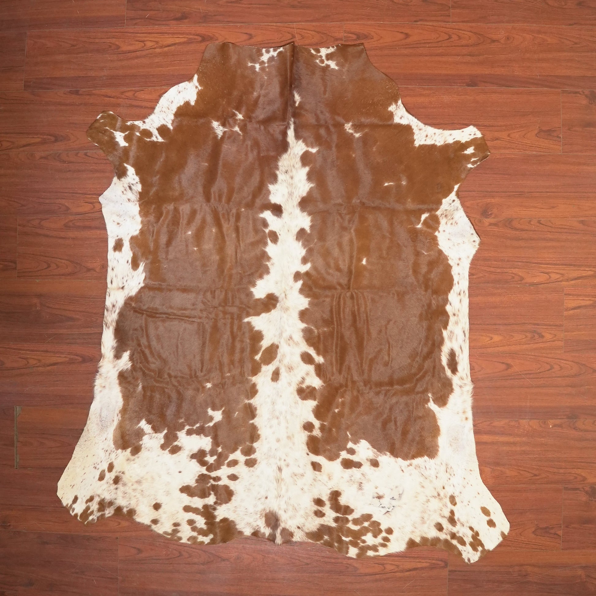 The Nguni Guy Nguni cowhide African decor Authentic cowhide Home decor Interior design Unique pattern Hand-selected Premium quality Natural beauty Exotic rug Genuine hide Statement piece Contemporary style Ethically sourced Sustainable decor Versatile accent Luxury rug Designer piece Modern aesthetic High-end craftsmanship Timeless elegance Designer home accents
