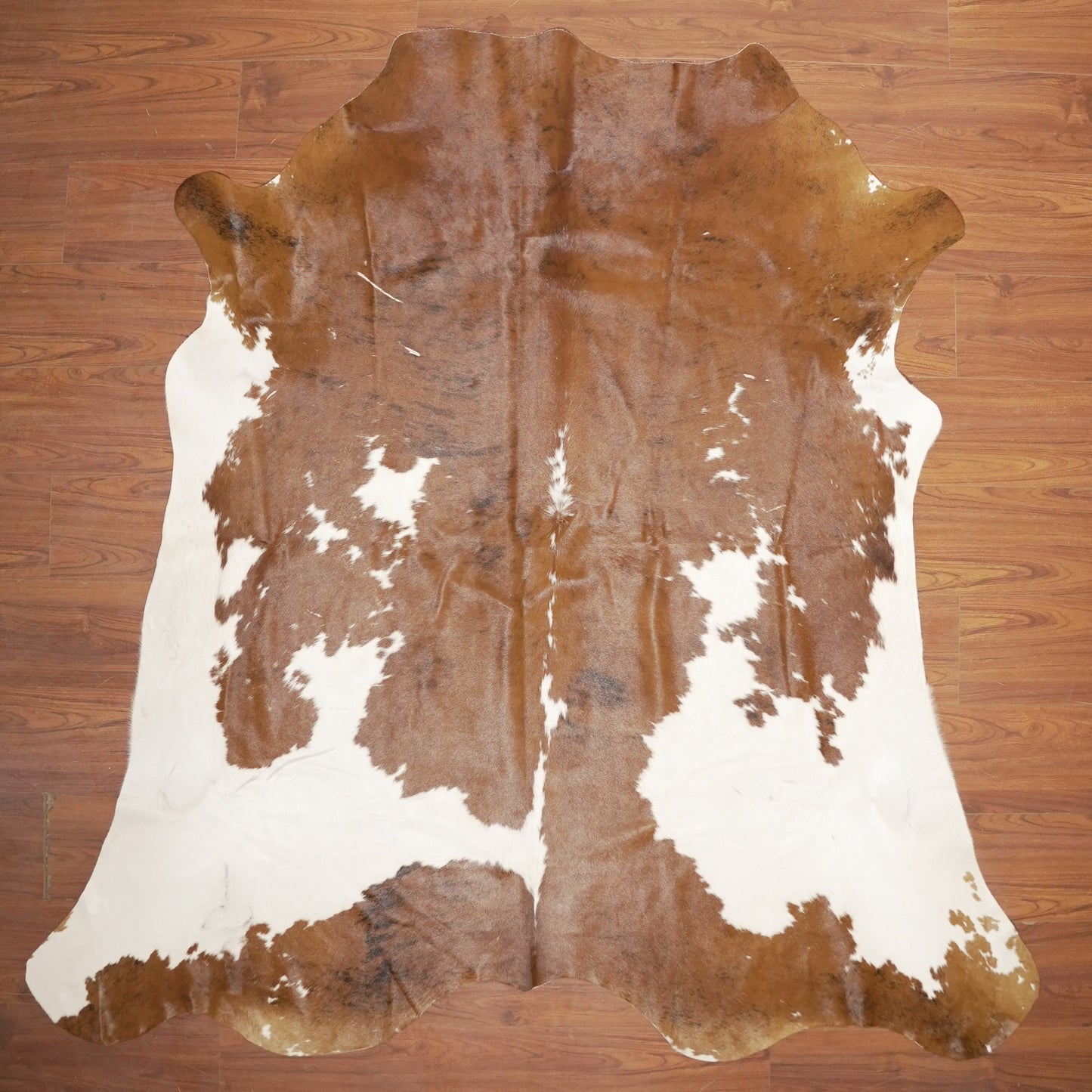 The Nguni Guy Nguni cowhide African decor Authentic cowhide Home decor Interior design Unique pattern Hand-selected Premium quality Natural beauty Exotic rug Genuine hide Statement piece Contemporary style Ethically sourced Sustainable decor Versatile accent Luxury rug Designer piece Modern aesthetic High-end craftsmanship Timeless elegance Designer home accents
