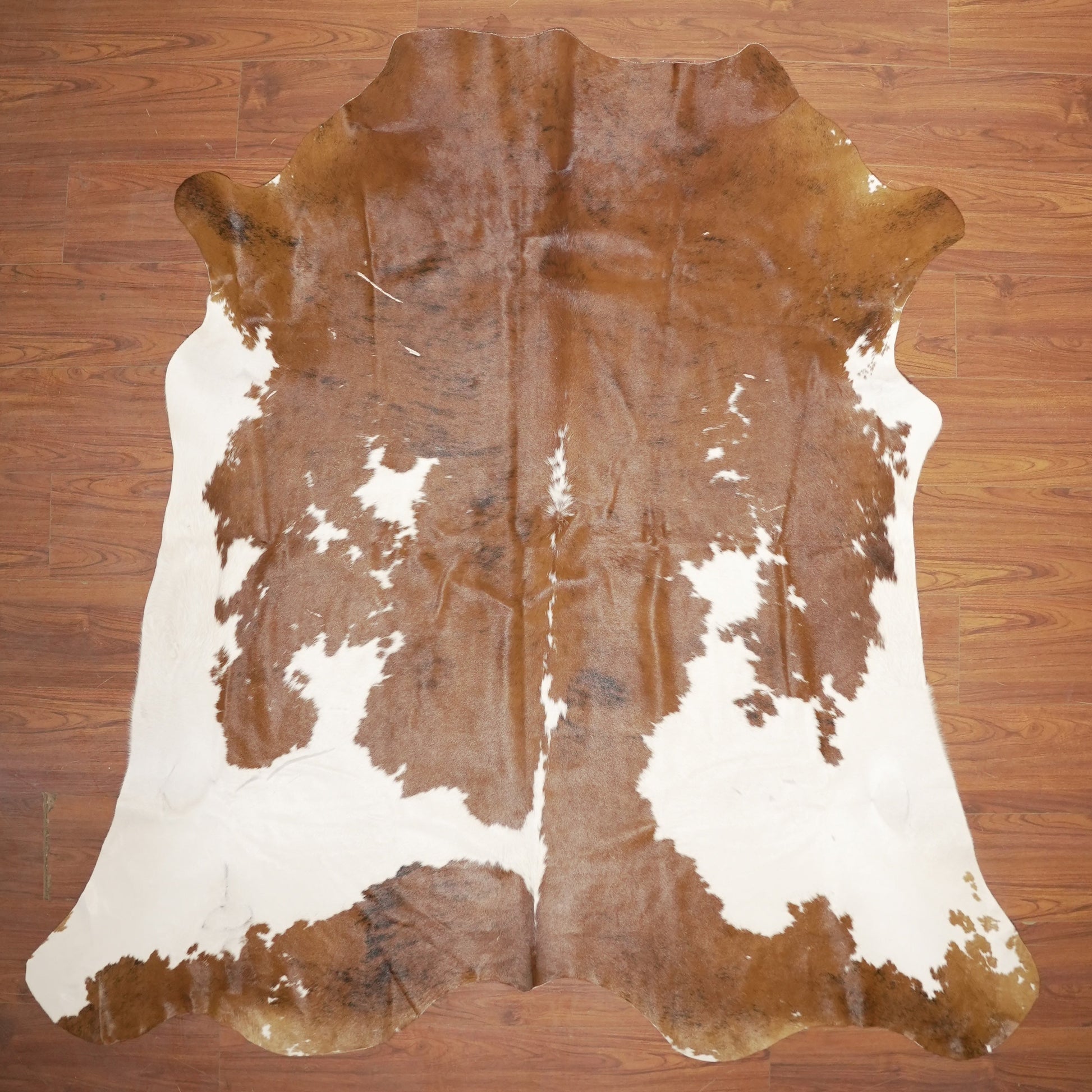 The Nguni Guy Nguni cowhide African decor Authentic cowhide Home decor Interior design Unique pattern Hand-selected Premium quality Natural beauty Exotic rug Genuine hide Statement piece Contemporary style Ethically sourced Sustainable decor Versatile accent Luxury rug Designer piece Modern aesthetic High-end craftsmanship Timeless elegance Designer home accents

