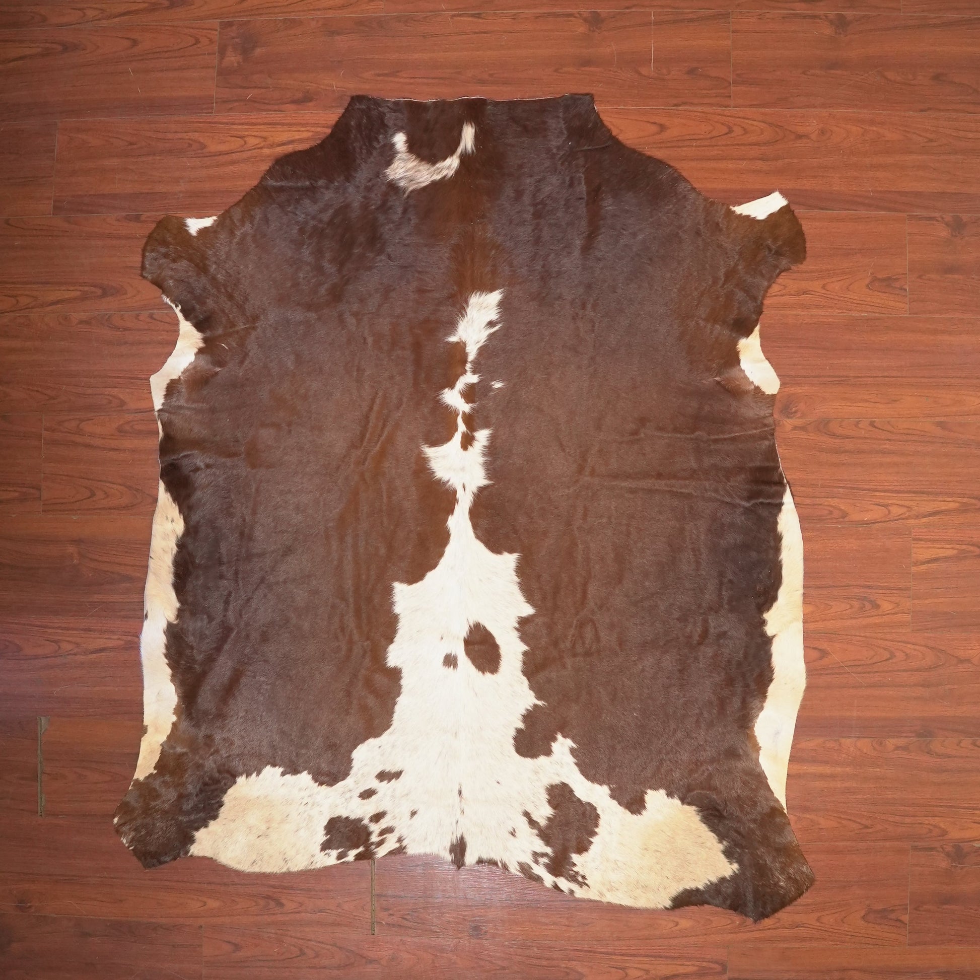 The Nguni Guy Nguni cowhide African decor Authentic cowhide Home decor Interior design Unique pattern Hand-selected Premium quality Natural beauty Exotic rug Genuine hide Statement piece Contemporary style Ethically sourced Sustainable decor Versatile accent Luxury rug Designer piece Modern aesthetic High-end craftsmanship Timeless elegance Designer home accents
