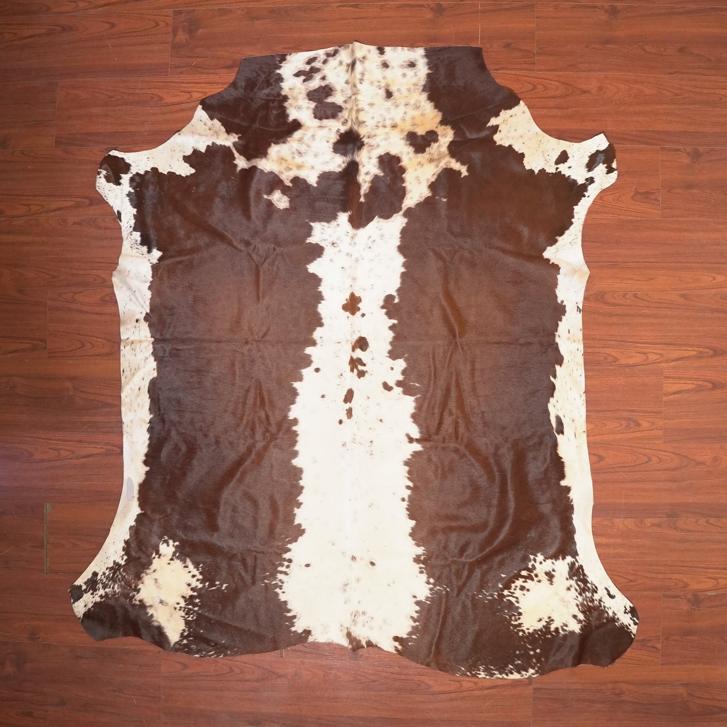 The Nguni Guy Nguni cowhide African decor Authentic cowhide Home decor Interior design Unique pattern Hand-selected Premium quality Natural beauty Exotic rug Genuine hide Statement piece Contemporary style Ethically sourced Sustainable decor Versatile accent Luxury rug Designer piece Modern aesthetic High-end craftsmanship Timeless elegance Designer home accents
