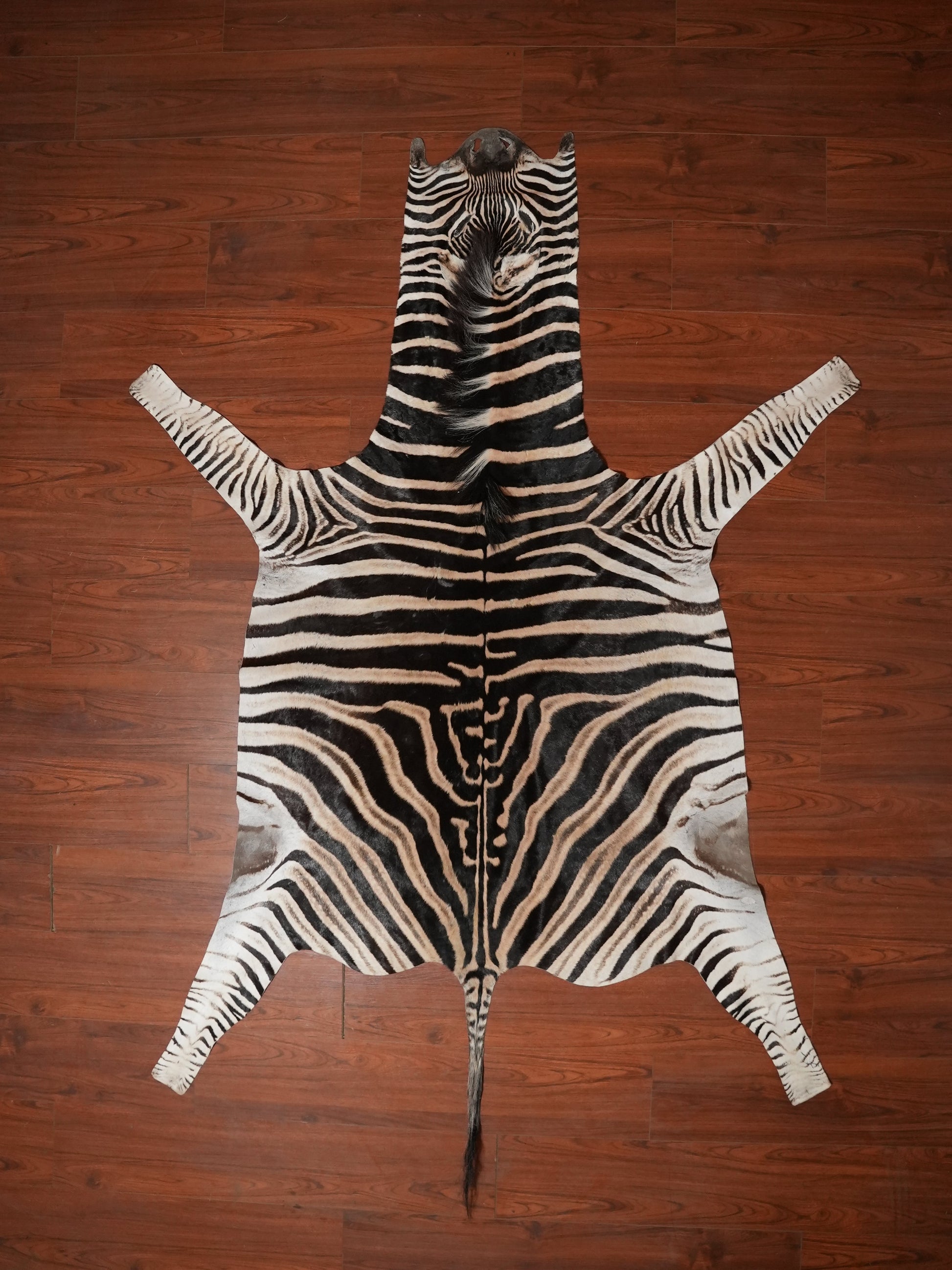 Zebra hide rug decor