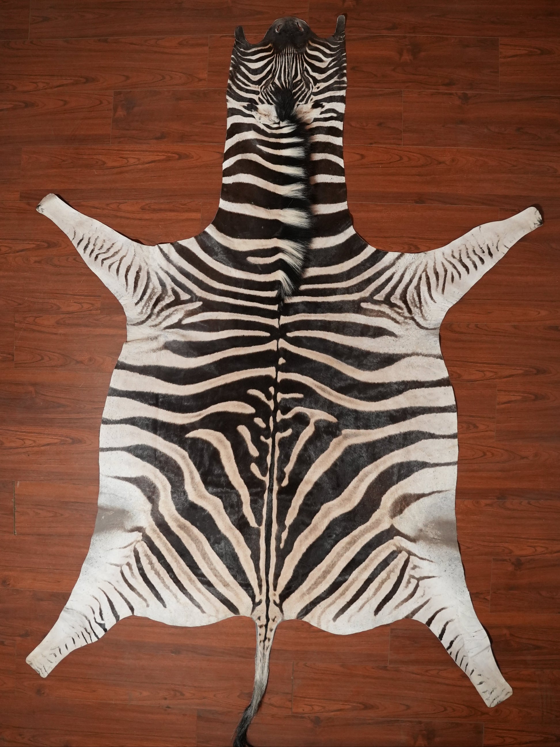 Zebra skin rug on a wooden floor