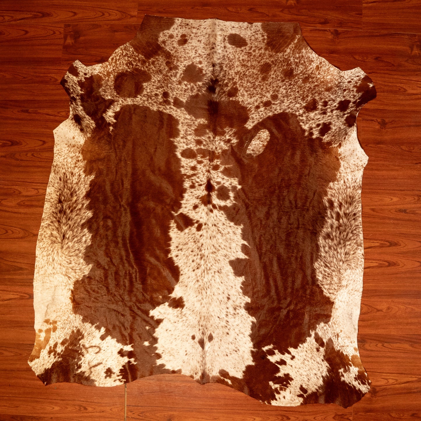 The Nguni Guy Nguni cowhide African decor Authentic cowhide Home decor Interior design Unique pattern Hand-selected Premium quality Natural beauty Exotic rug Genuine hide Statement piece Contemporary style Ethically sourced Sustainable decor Versatile accent Luxury rug Designer piece Modern aesthetic High-end craftsmanship Timeless elegance Designer home accents
