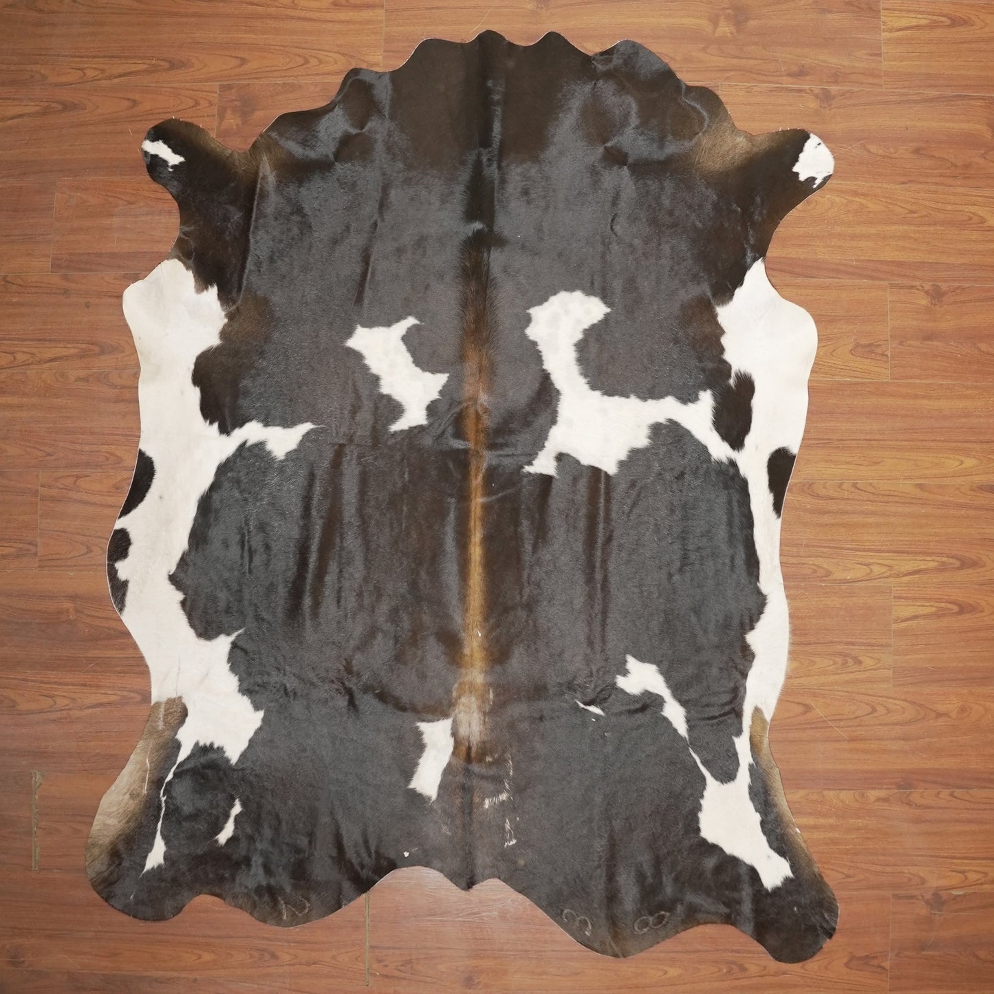 The Nguni Guy Nguni cowhide African decor Authentic cowhide Home decor Interior design Unique pattern Hand-selected Premium quality Natural beauty Exotic rug Genuine hide Statement piece Contemporary style Ethically sourced Sustainable decor Versatile accent Luxury rug Designer piece Modern aesthetic High-end craftsmanship Timeless elegance Designer home accents
