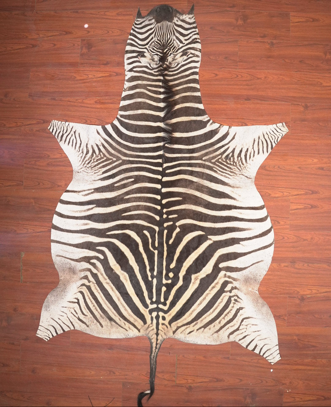 Zebra Hide Rug Home Decore