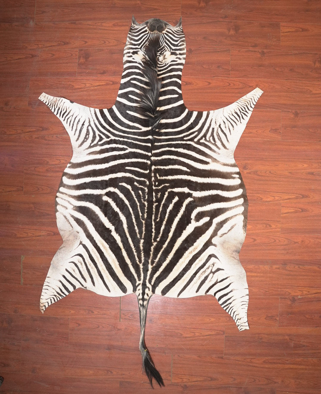 The Nguni Guy Nguni zebra hide African decor Authentic zebra skin Home decor Interior design Unique pattern Hand-selected Premium quality Natural beauty Exotic rug Genuine hide Statement piece Contemporary style Ethically sourced Sustainable decor Versatile accent Luxury rug Designer piece Modern aesthetic High-end craftsmanship Timeless elegance Designer home accents