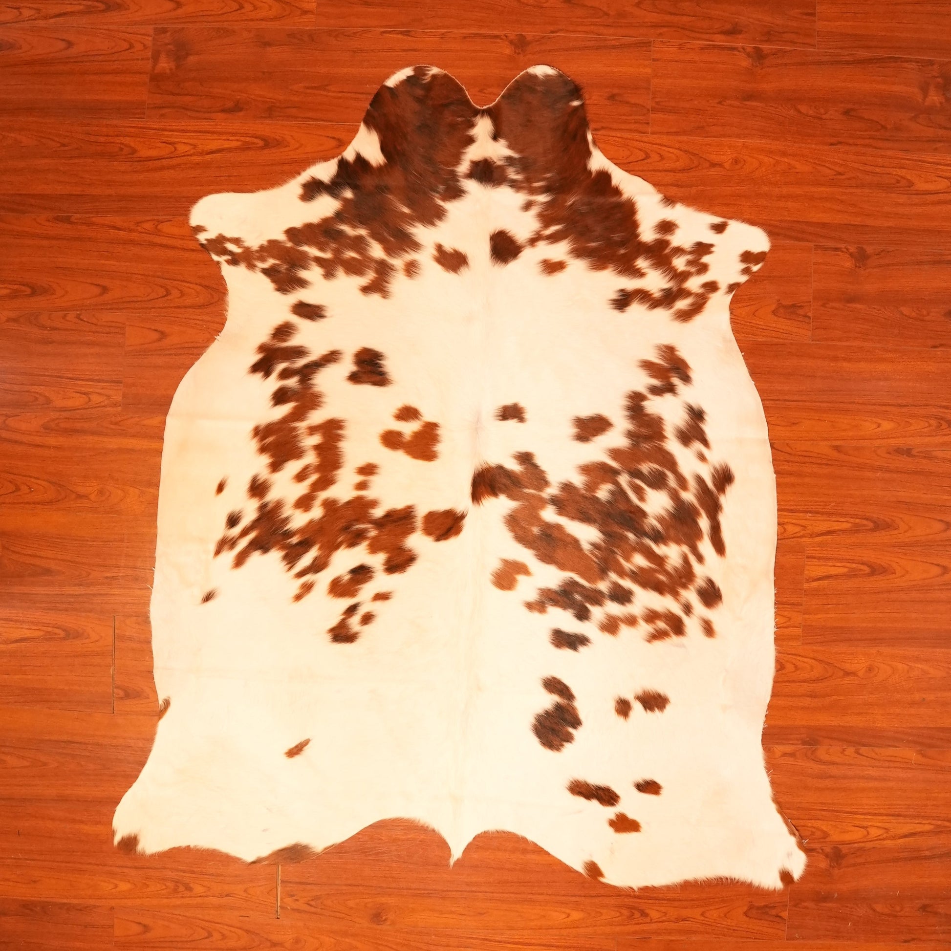 The Nguni Guy Nguni cowhide African decor Authentic cowhide Home decor Interior design Unique pattern Hand-selected Premium quality Natural beauty Exotic rug Genuine hide Statement piece Contemporary style Ethically sourced Sustainable decor Versatile accent Luxury rug Designer piece Modern aesthetic High-end craftsmanship Timeless elegance Designer home accents
