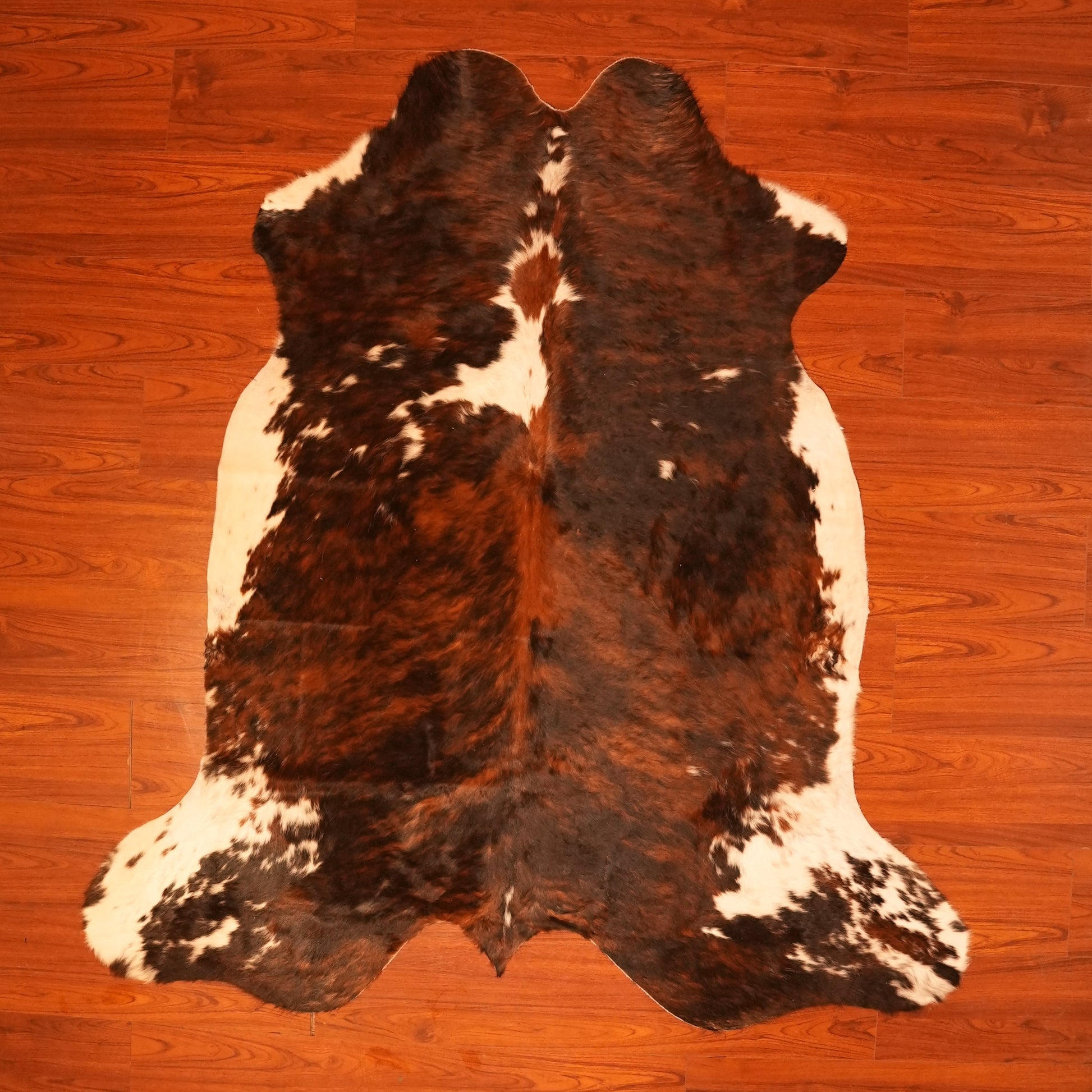 The Nguni Guy Nguni cowhide African decor Authentic cowhide Home decor Interior design Unique pattern Hand-selected Premium quality Natural beauty Exotic rug Genuine hide Statement piece Contemporary style Ethically sourced Sustainable decor Versatile accent Luxury rug Designer piece Modern aesthetic High-end craftsmanship Timeless elegance Designer home accents
