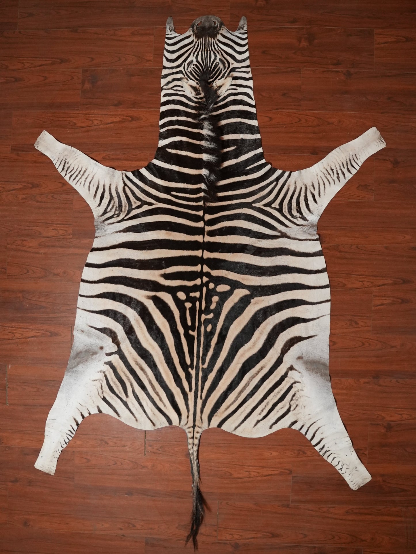 Zebra hide rug decor 