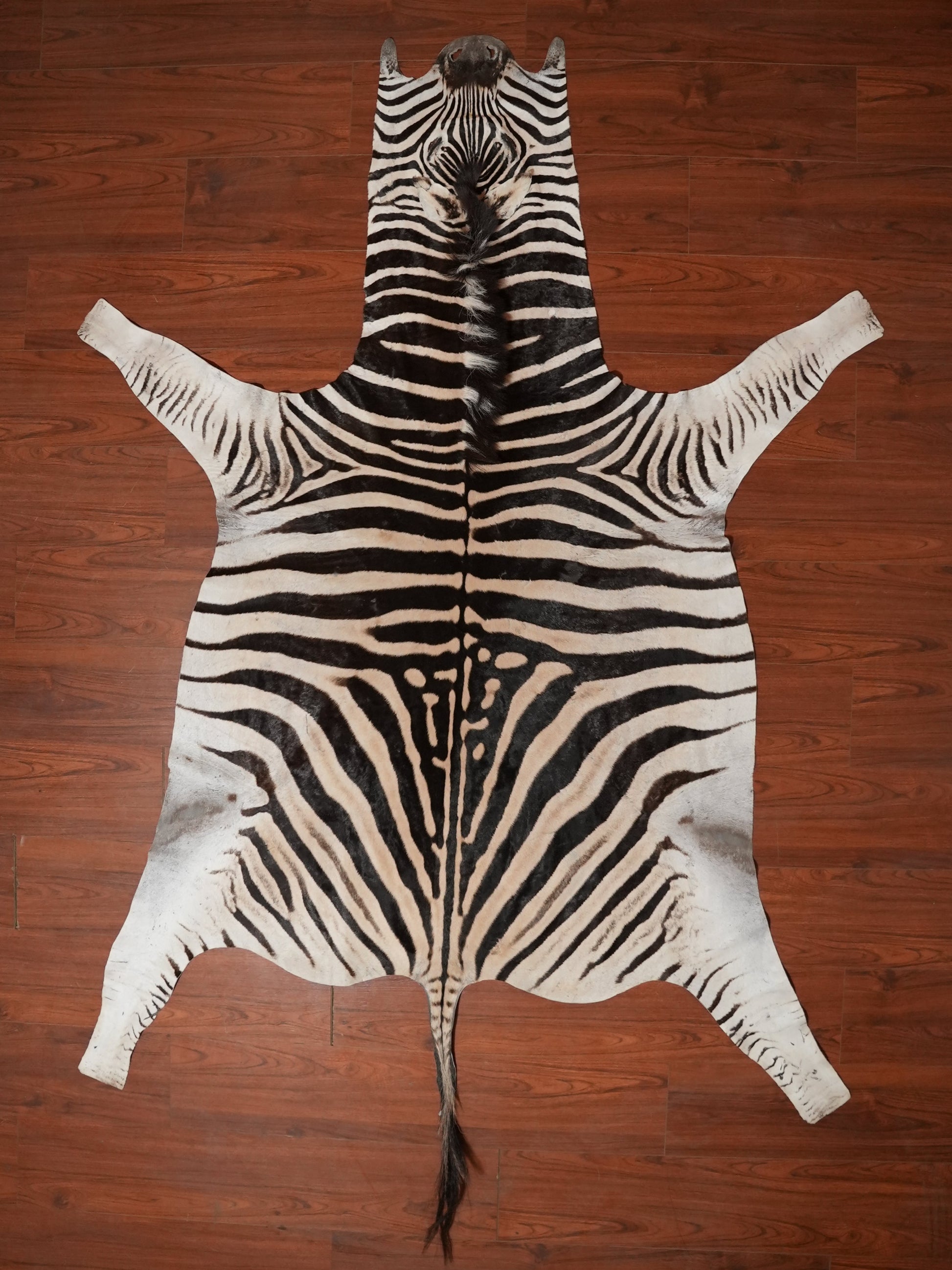 Zebra hide rug decor 
