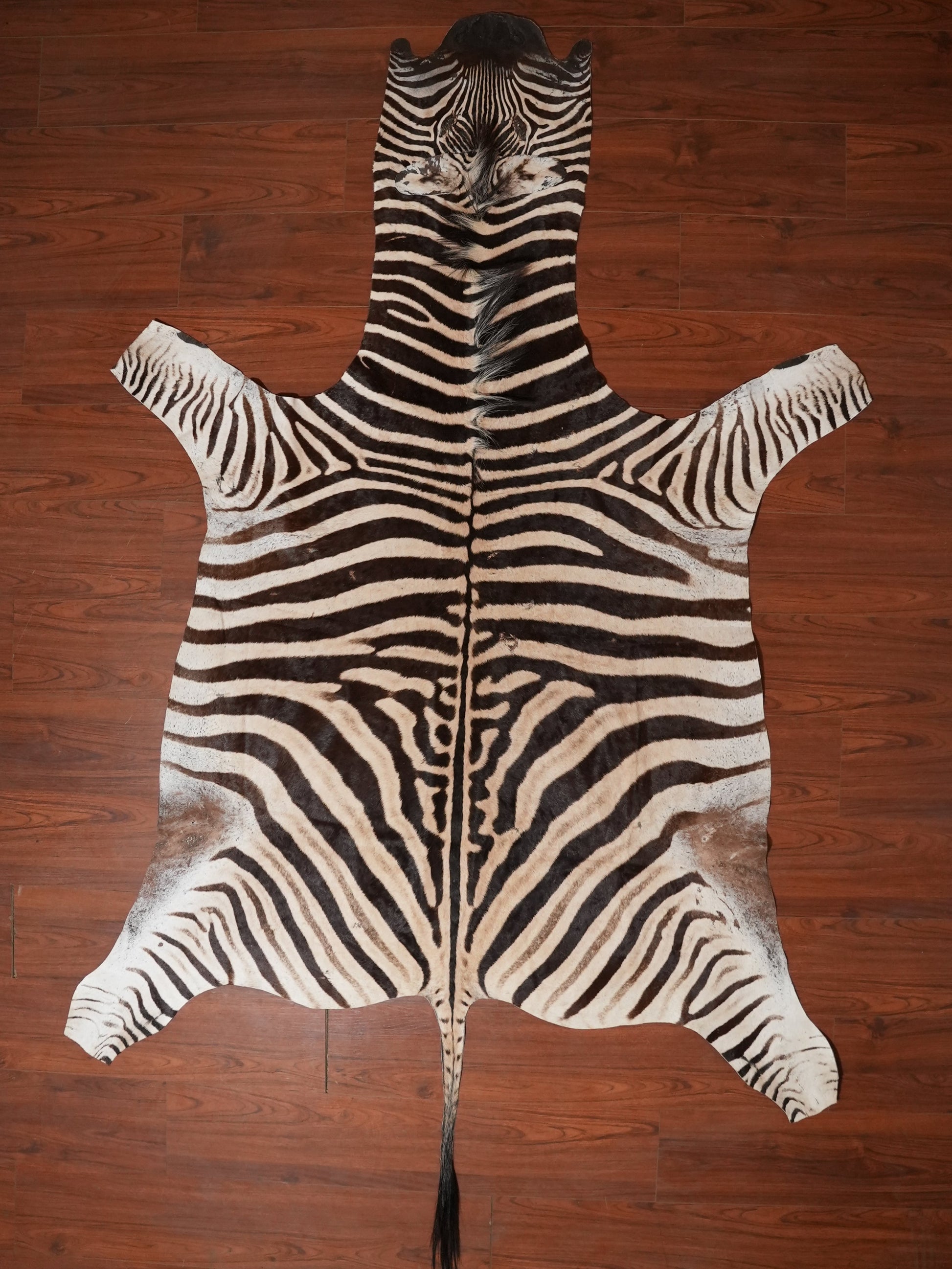 Zebra skin rug on a wooden floor