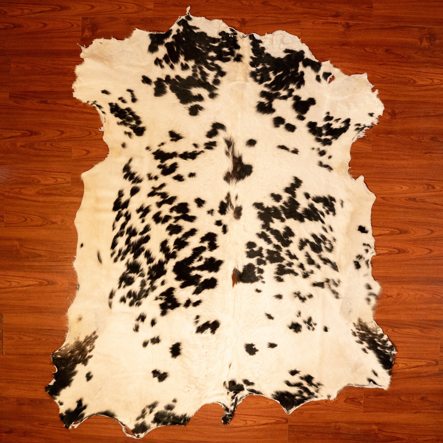 The Nguni Guy Nguni cowhide African decor Authentic cowhide Home decor Interior design Unique pattern Hand-selected Premium quality Natural beauty Exotic rug Genuine hide Statement piece Contemporary style Ethically sourced Sustainable decor Versatile accent Luxury rug Designer piece Modern aesthetic High-end craftsmanship Timeless elegance Designer home accents