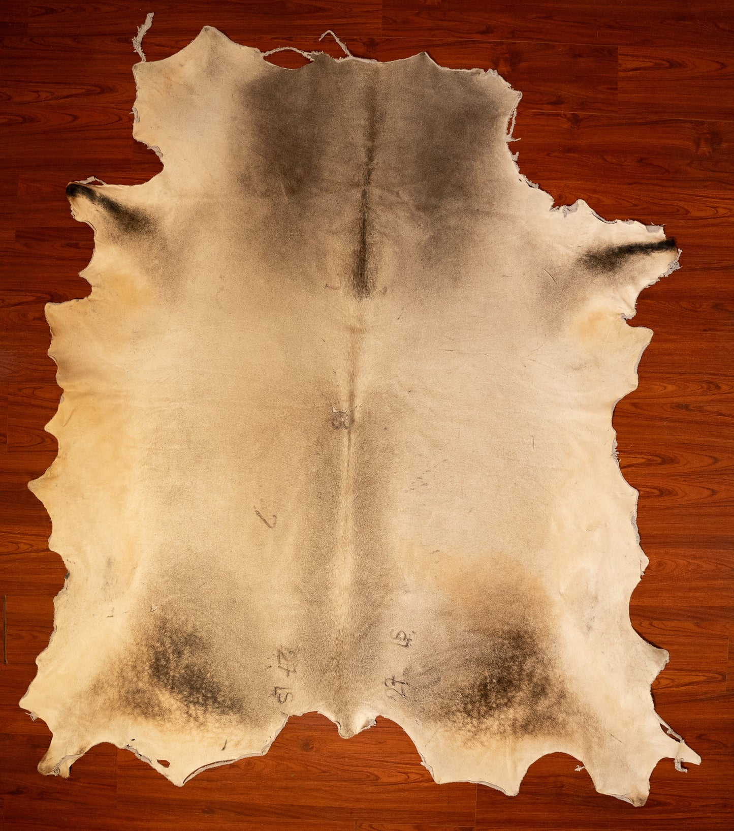 The Nguni Guy Nguni cowhide African decor Authentic cowhide Home decor Interior design Unique pattern Hand-selected Premium quality Natural beauty Exotic rug Genuine hide Statement piece Contemporary style Ethically sourced Sustainable decor Versatile accent Luxury rug Designer piece Modern aesthetic High-end craftsmanship Timeless elegance Designer home accents