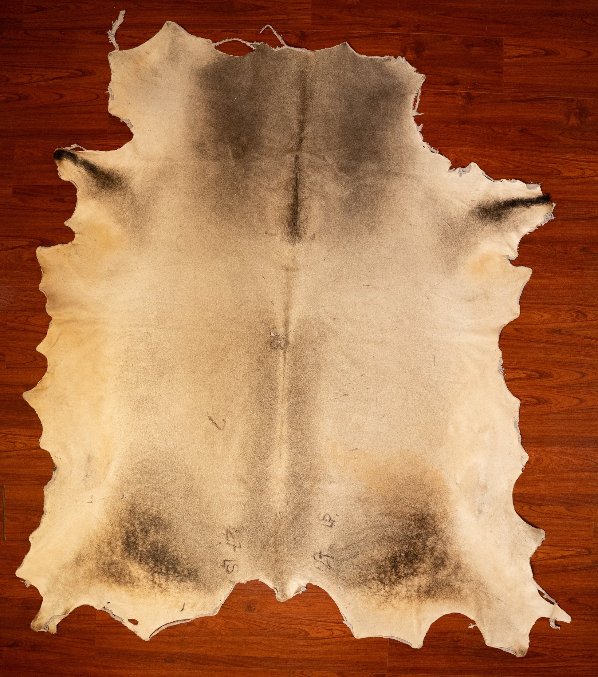 The Nguni Guy Nguni cowhide African decor Authentic cowhide Home decor Interior design Unique pattern Hand-selected Premium quality Natural beauty Exotic rug Genuine hide Statement piece Contemporary style Ethically sourced Sustainable decor Versatile accent Luxury rug Designer piece Modern aesthetic High-end craftsmanship Timeless elegance Designer home accents