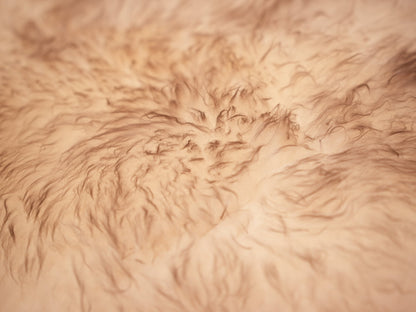Exotic Romney Wool Sheepskin