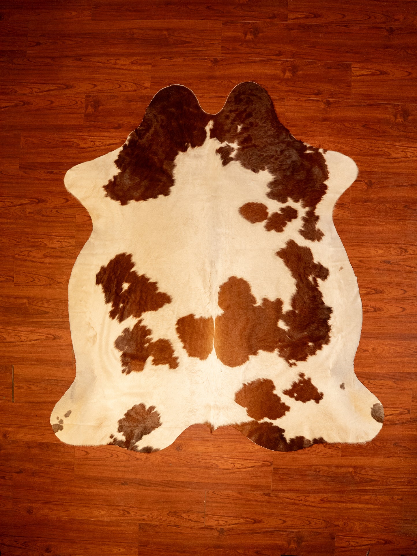 A Grade Cow Hide 214 (Brown/White) (XL)