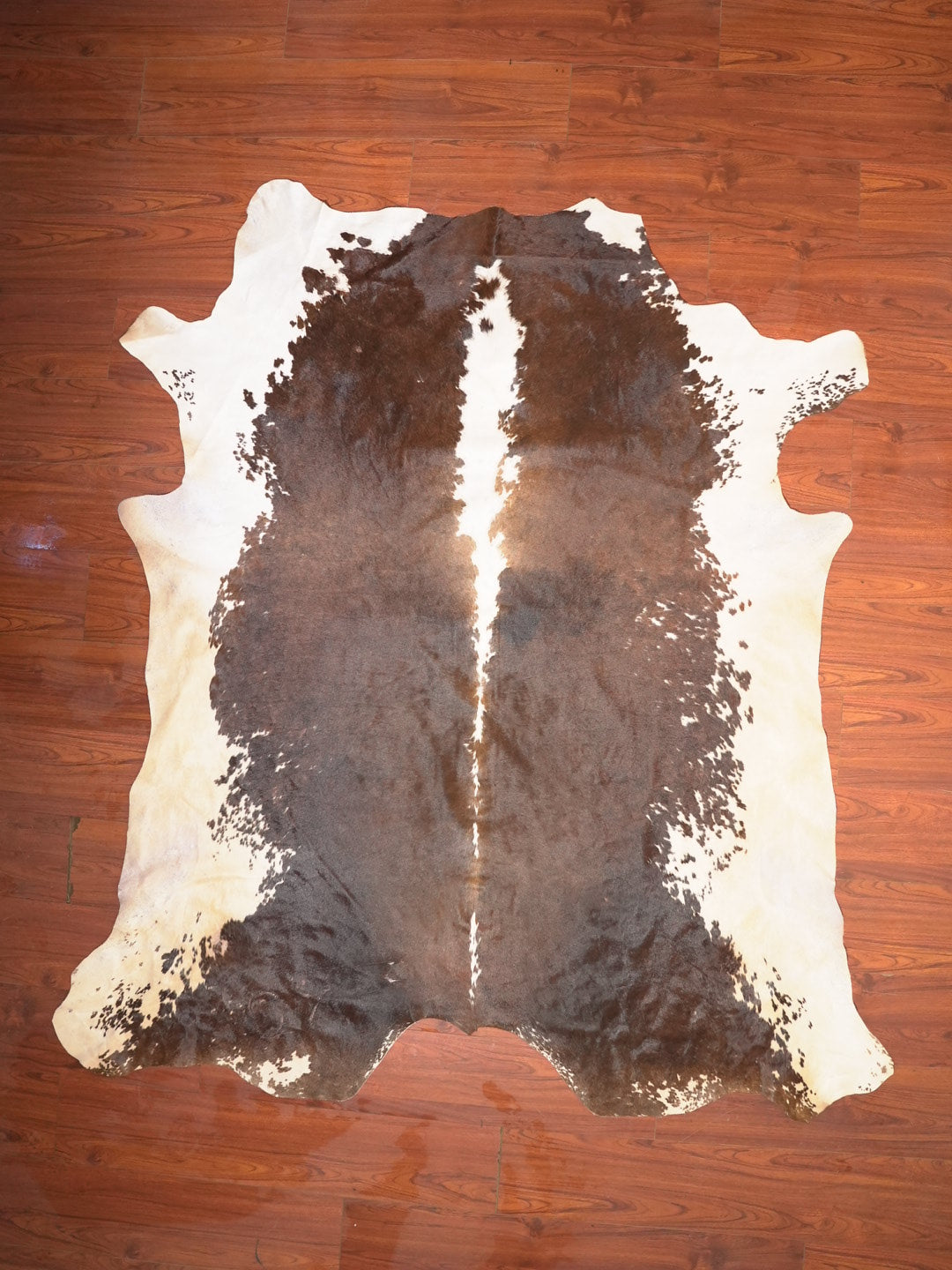 AAS Grade Nguni Hide 130 (Brown/White) (XL)