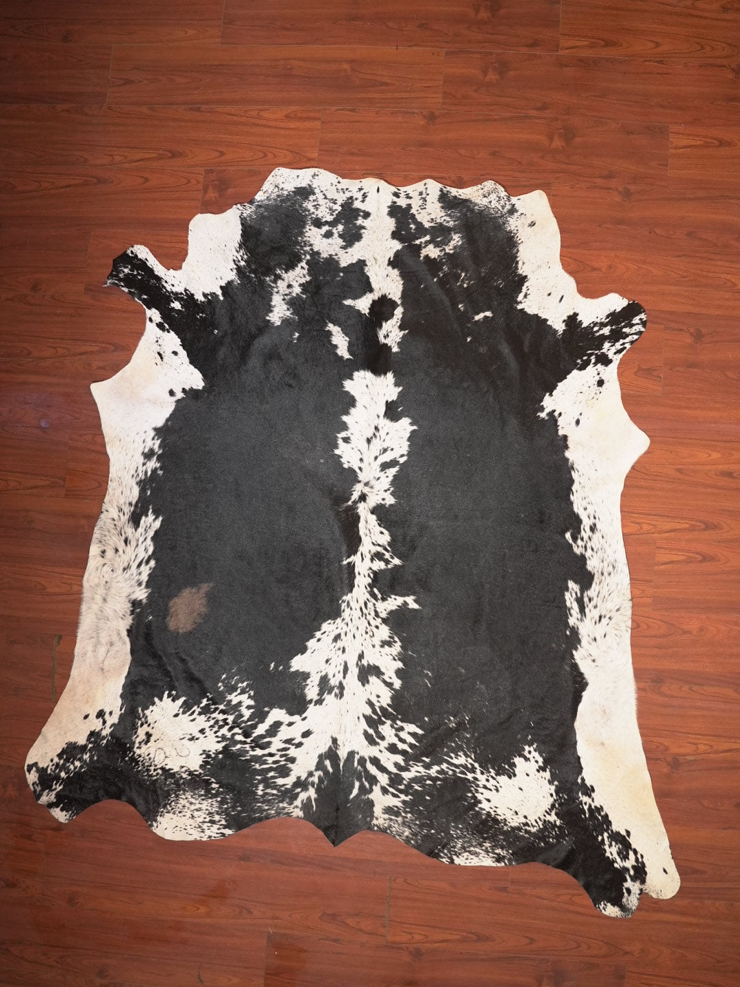 AAS Grade Nguni Hide 129 (Black/White) (XXL)