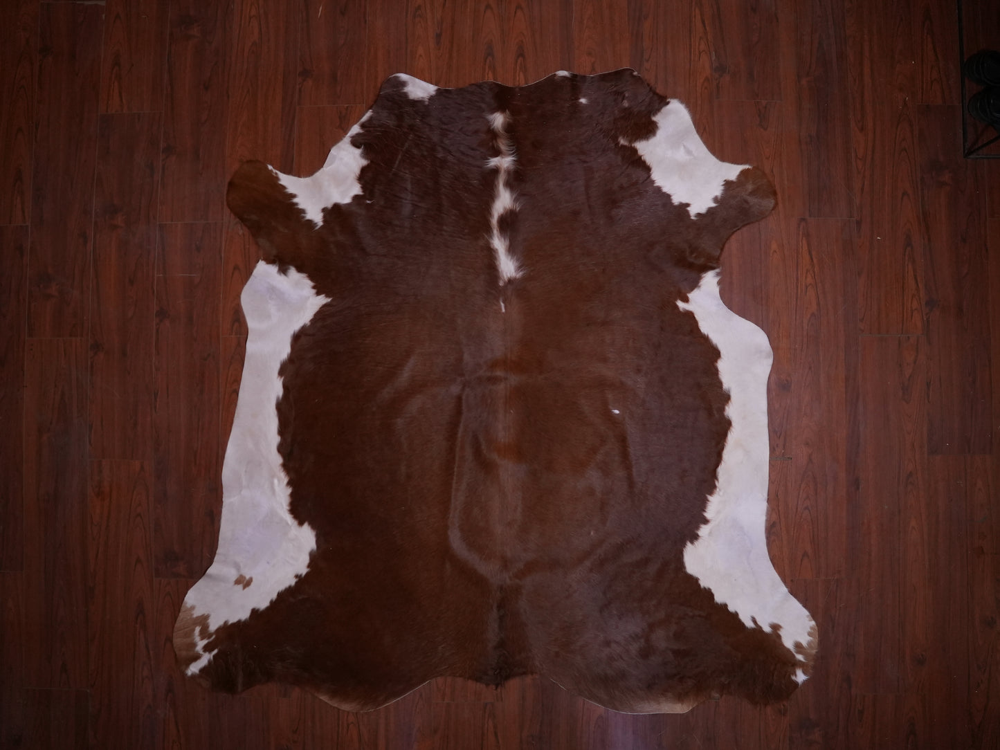 AA Grade Nguni Hide 584 (Brown/White) (L)
