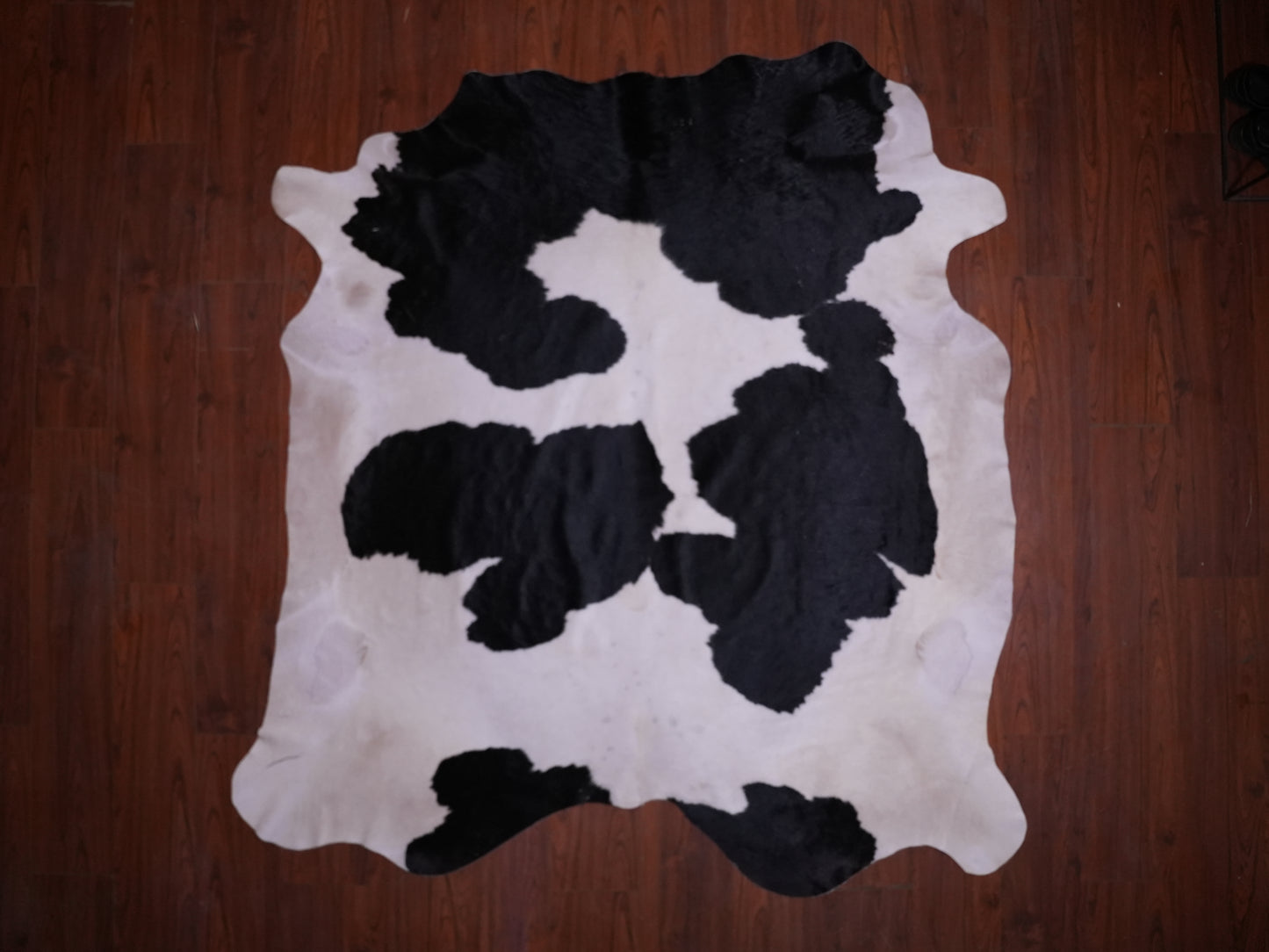 BS Grade Nguni Hide 582 (Black/White) (L)