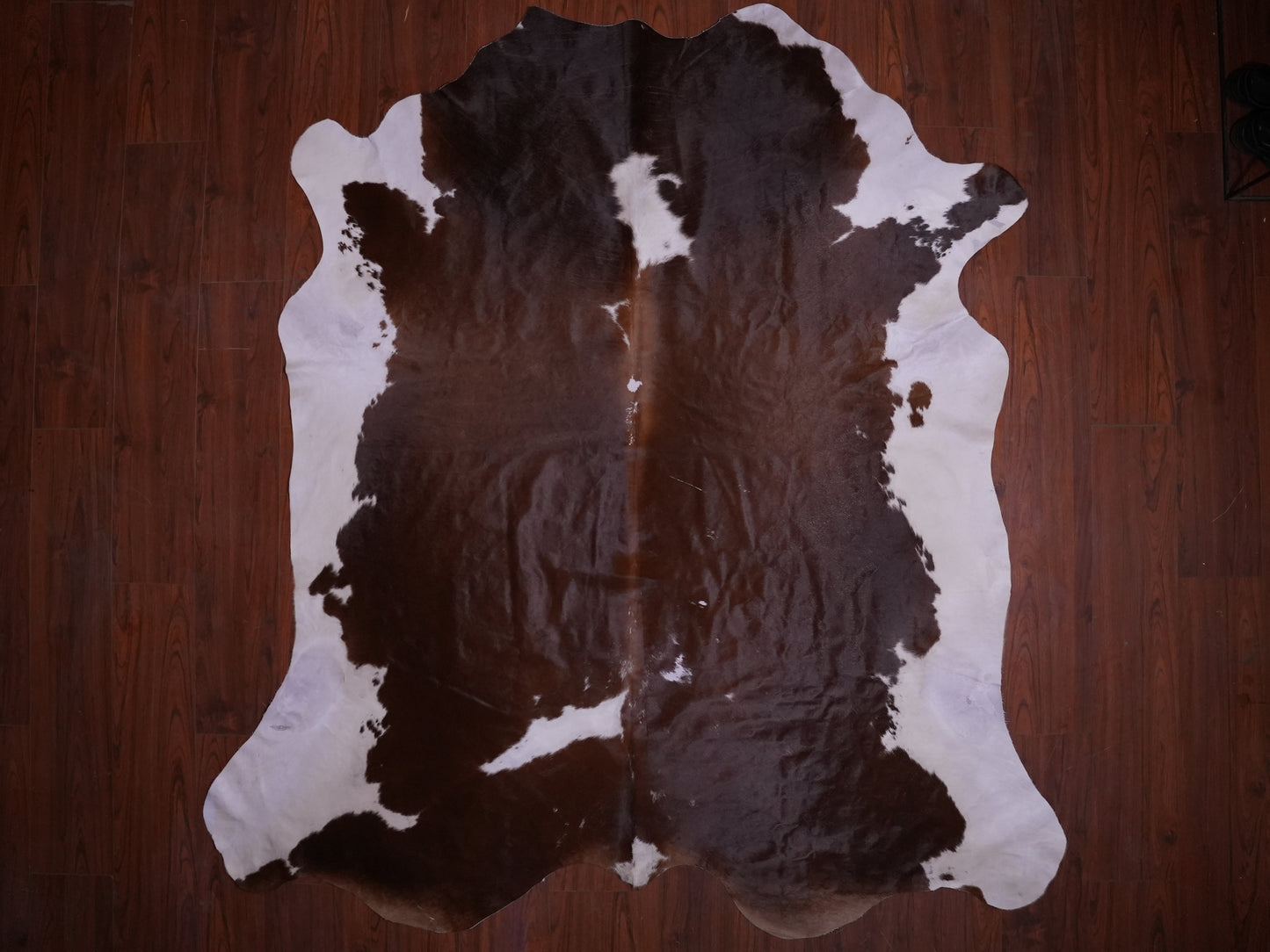 A Grade Nguni Hide 580 (Brown/White) (XL)