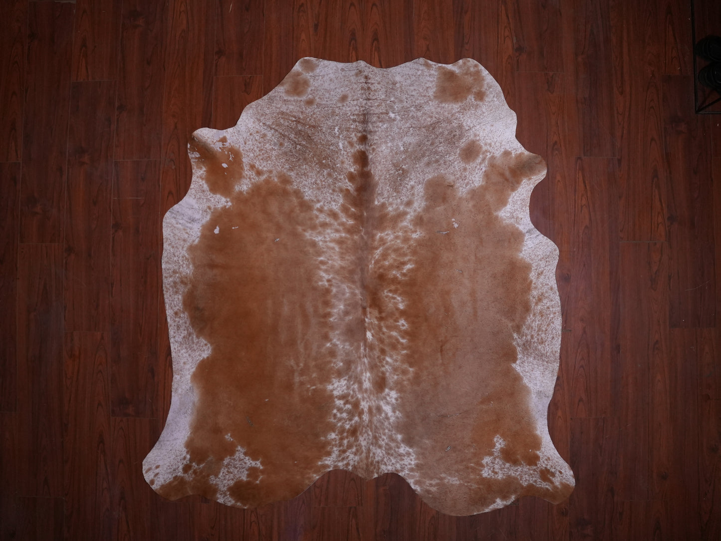 BS Grade Nguni Hide 576 (Brown/White) (M)