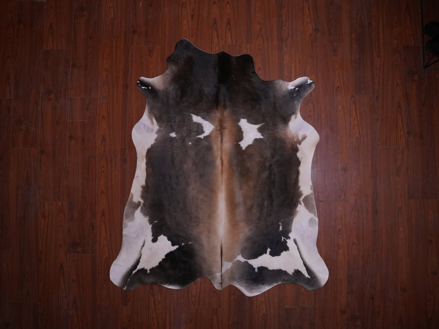 A Grade Nguni Hide 579 (Tricolor) (S)