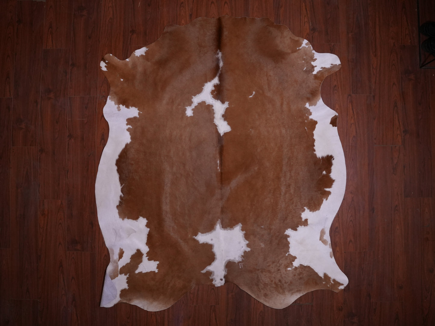 AS Grade Nguni Hide 590 (Brown/White) (L)