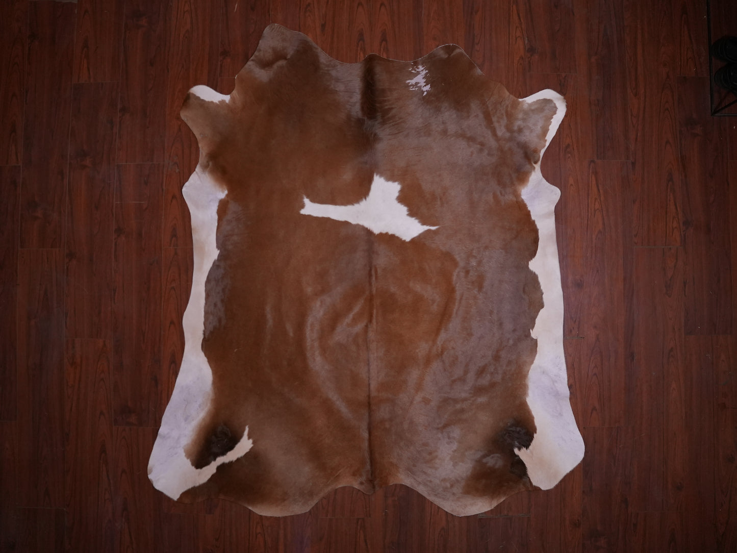 AS Grade Nguni Hide 589 (Brown/White) (L)