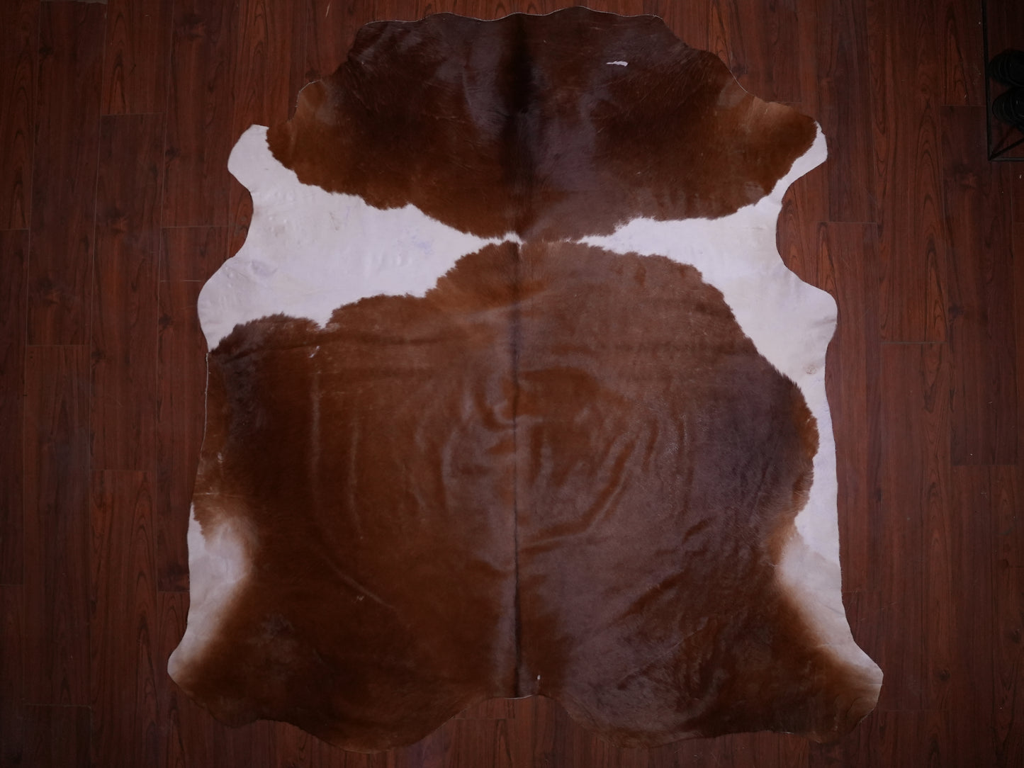 AA Grade Nguni Hide 593 (Brown/White) (XL)