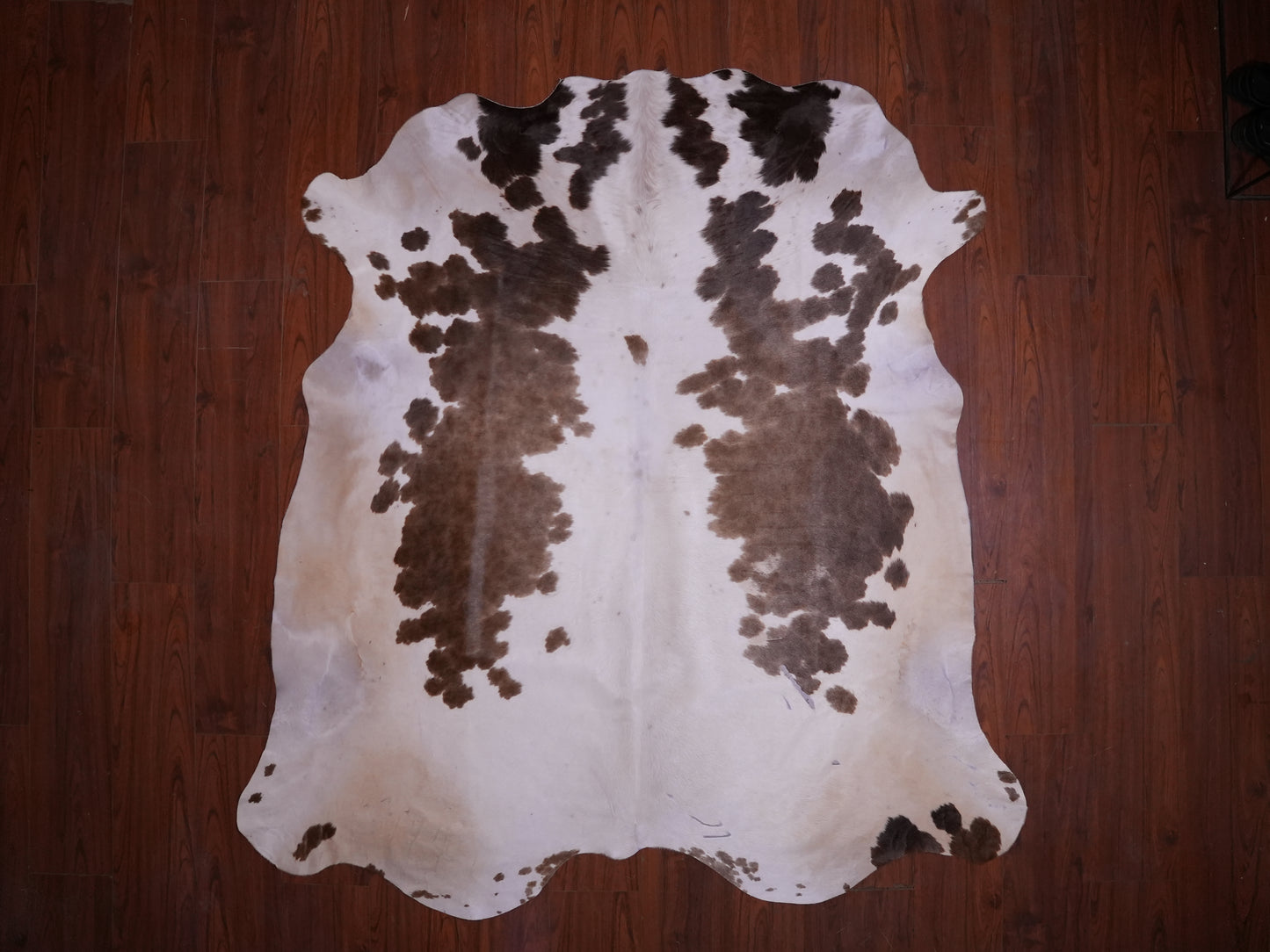 A Grade Nguni Hide 596 (Brown/White) (L)
