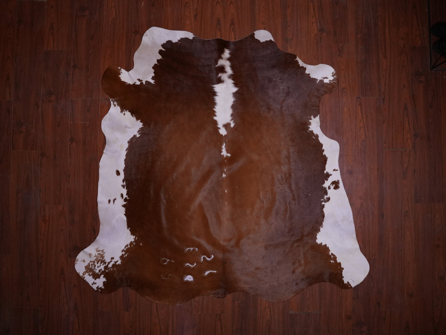 AA Grade Nguni Hide 597 (Brown/White) (M)