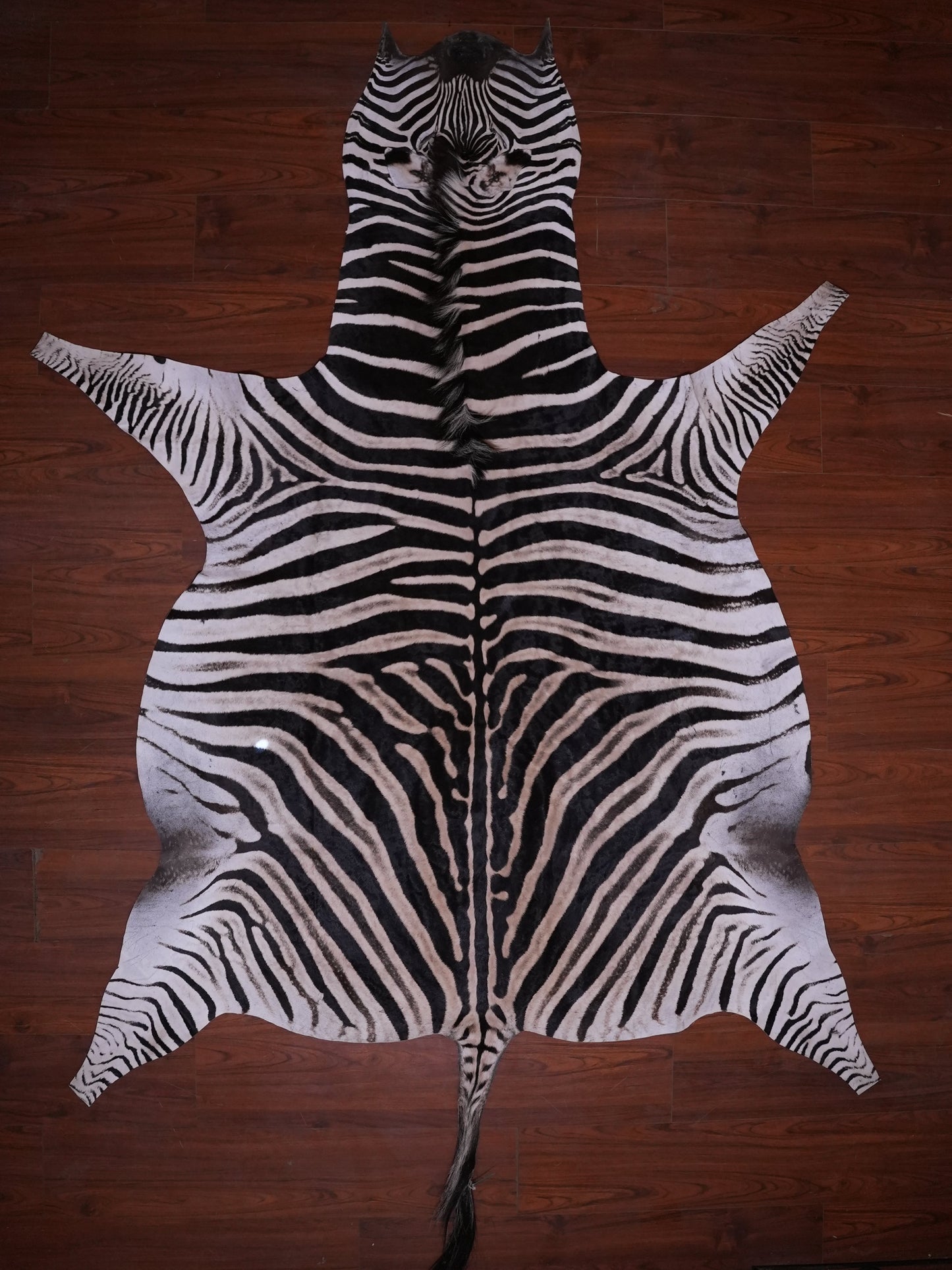 AA GRADE ZEBRA HIDE 084 (M)
