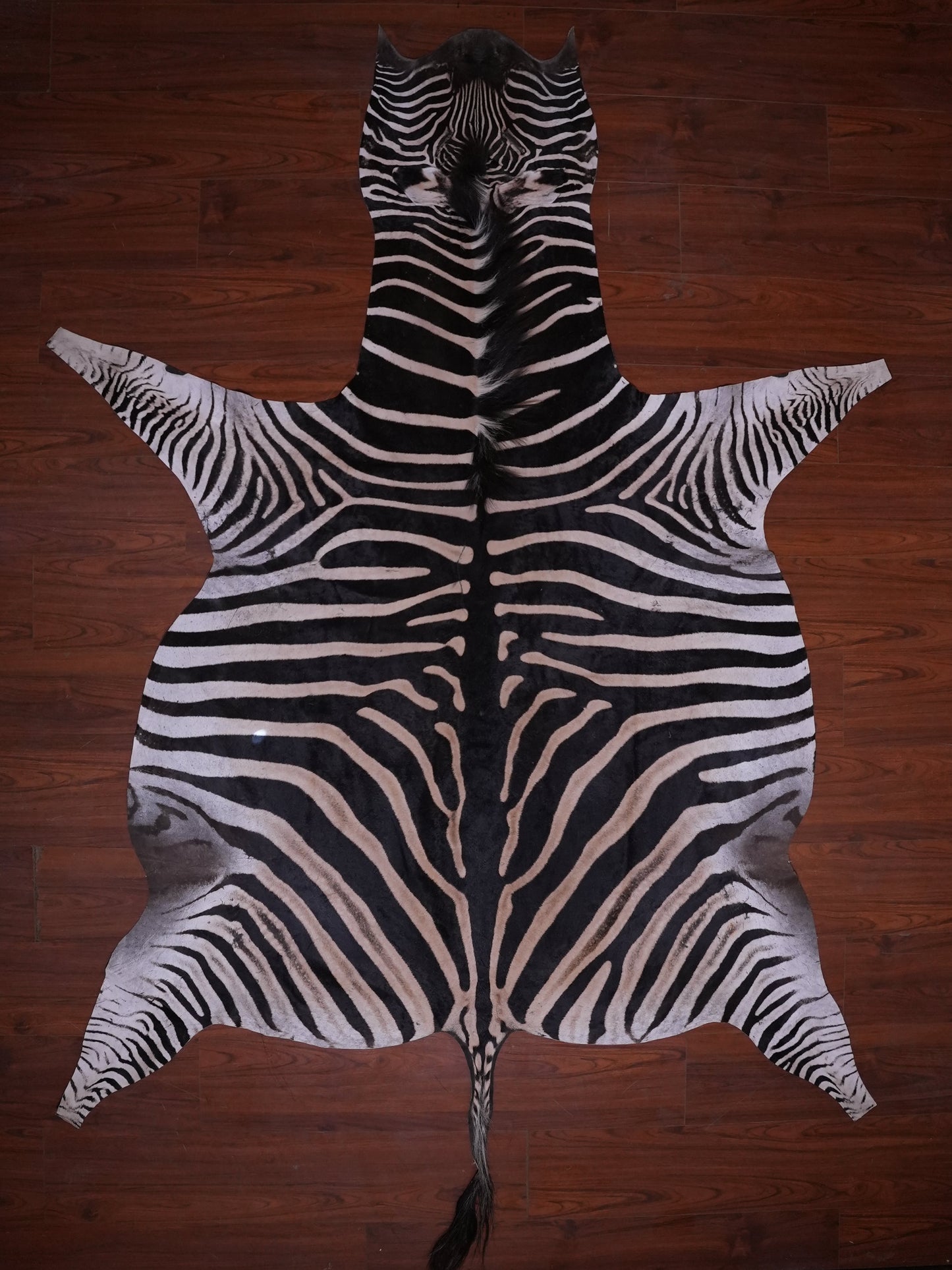 A GRADE ZEBRA HIDE 085 (M)