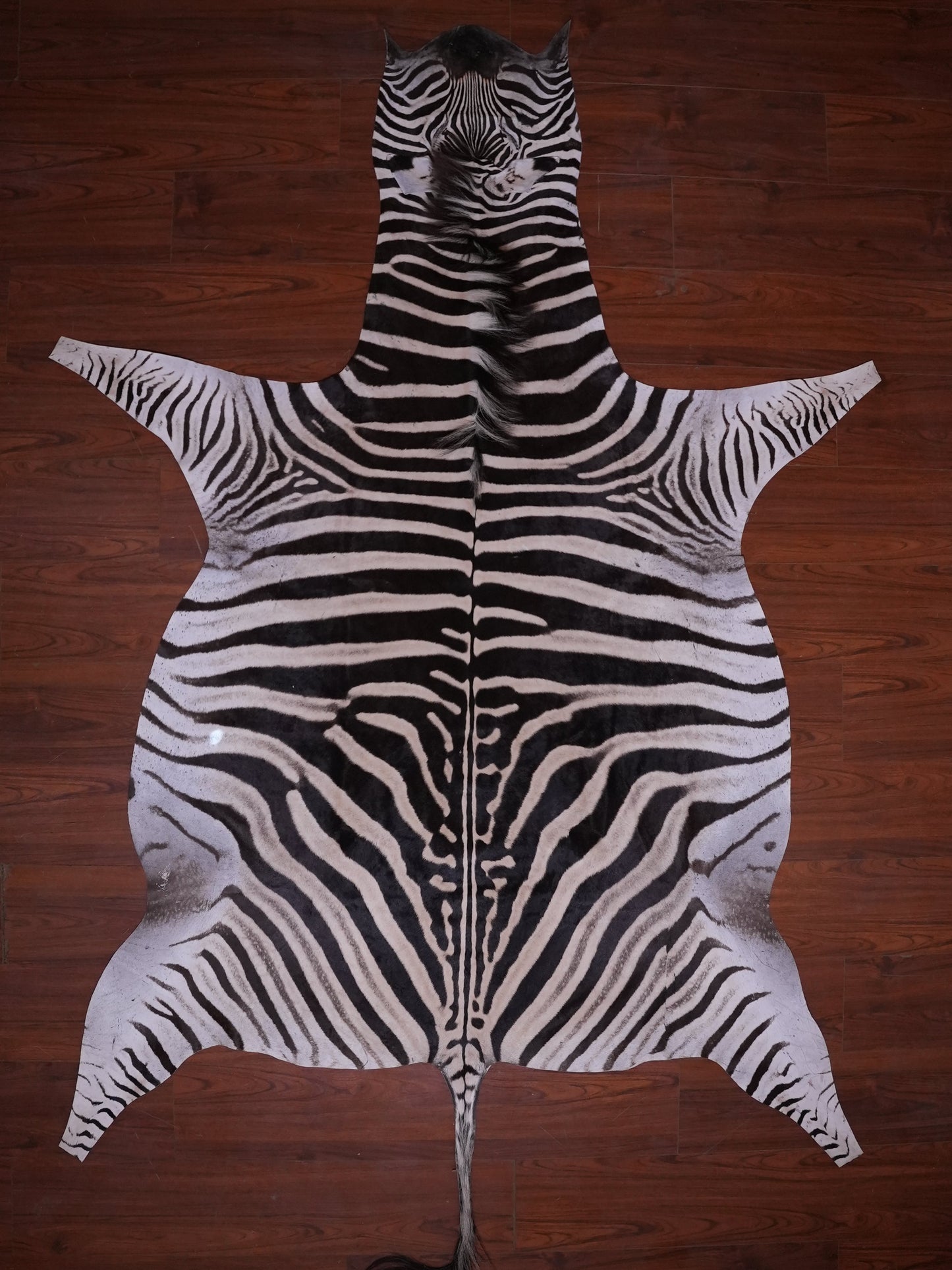 AA GRADE ZEBRA HIDE 075 (M)