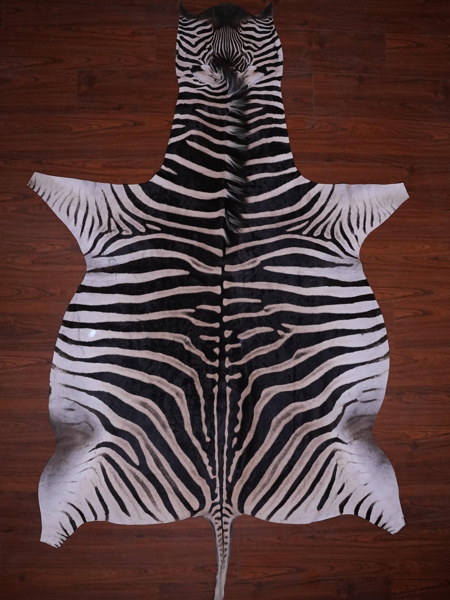 A GRADE ZEBRA HIDE 071 (L)