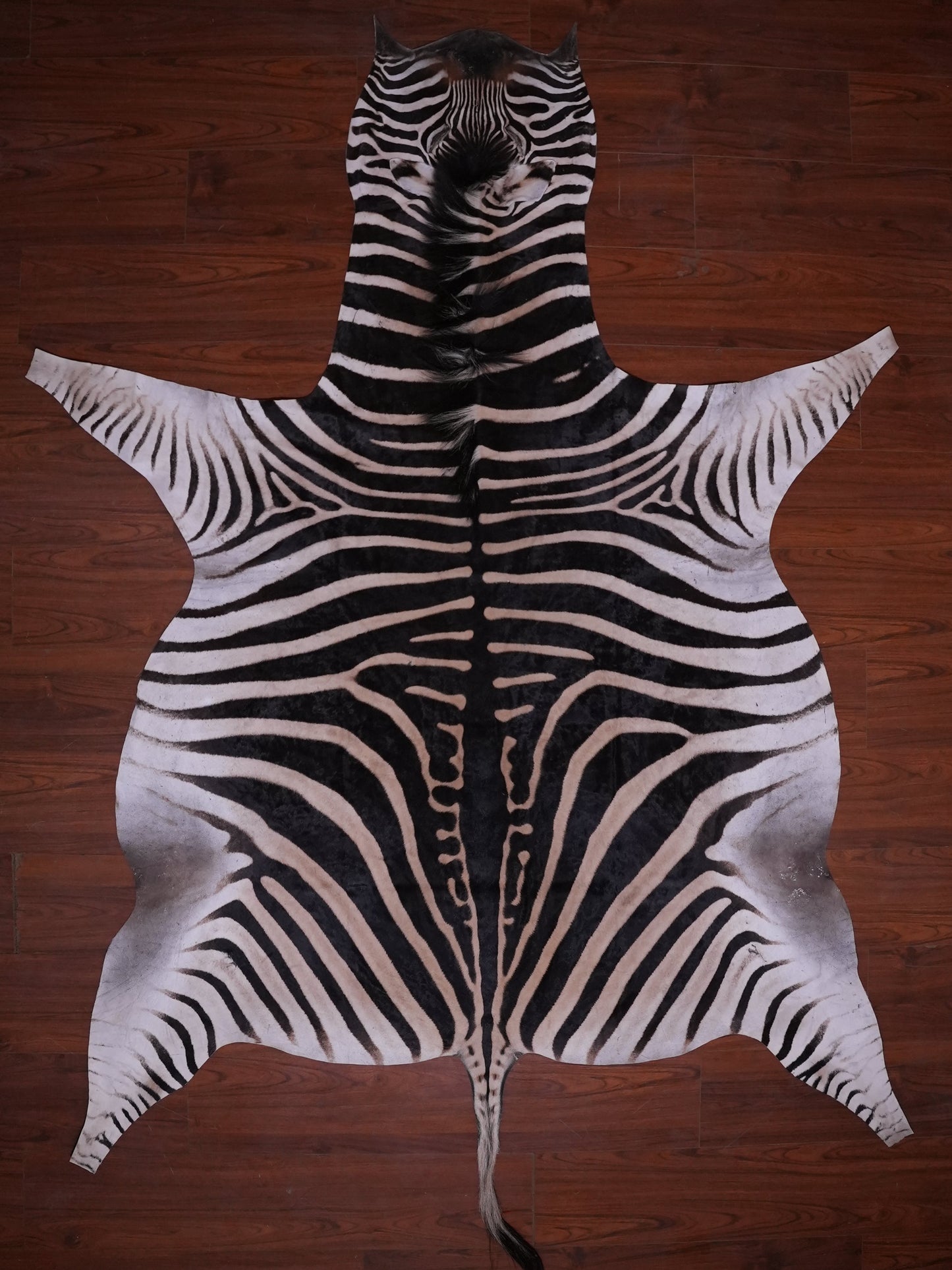 A GRADE ZEBRA HIDE 074 (M)