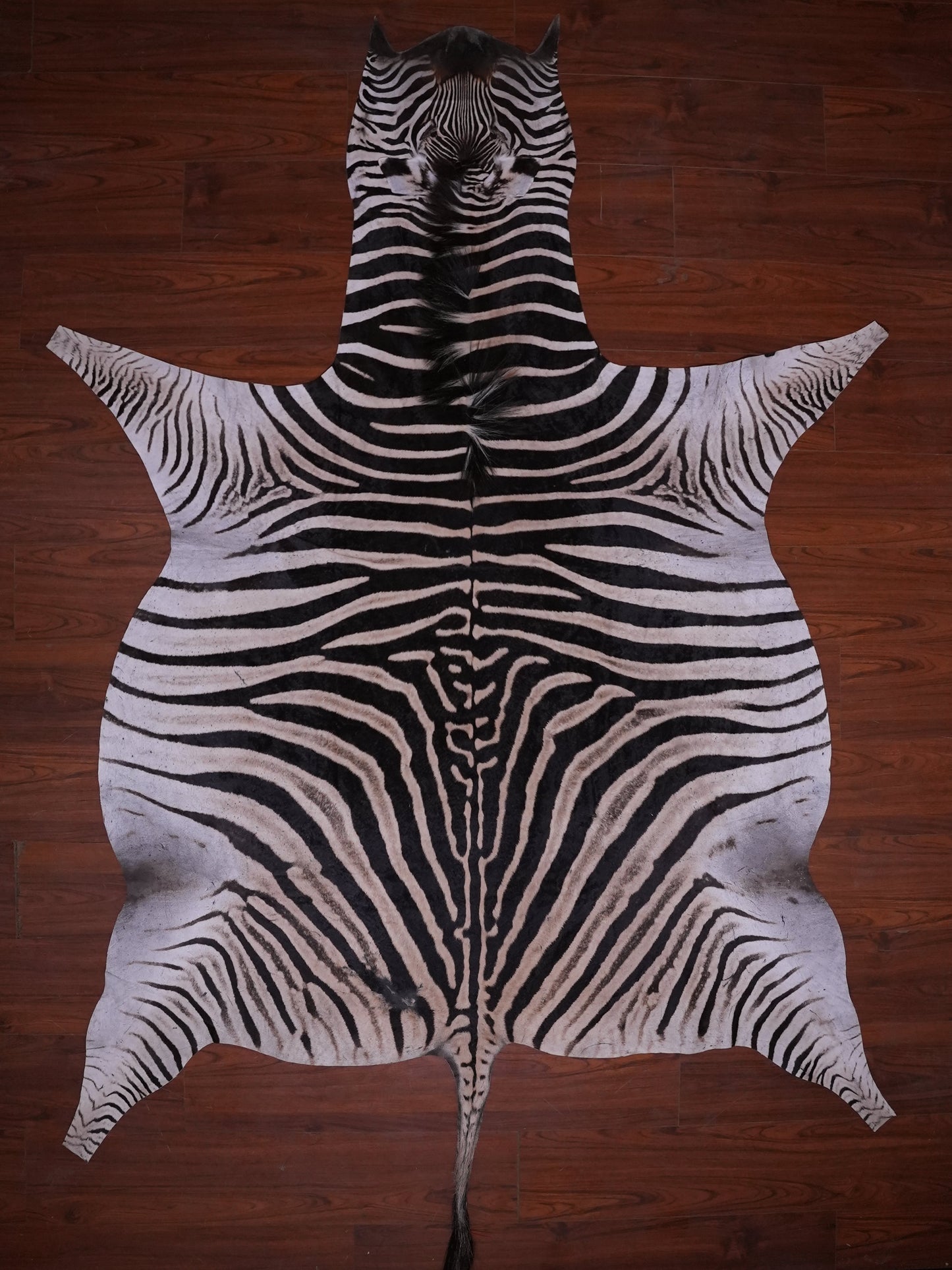 A GRADE ZEBRA HIDE 076 (M)