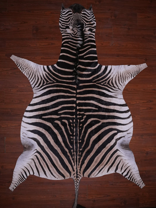 A GRADE ZEBRA HIDE 077 (M)